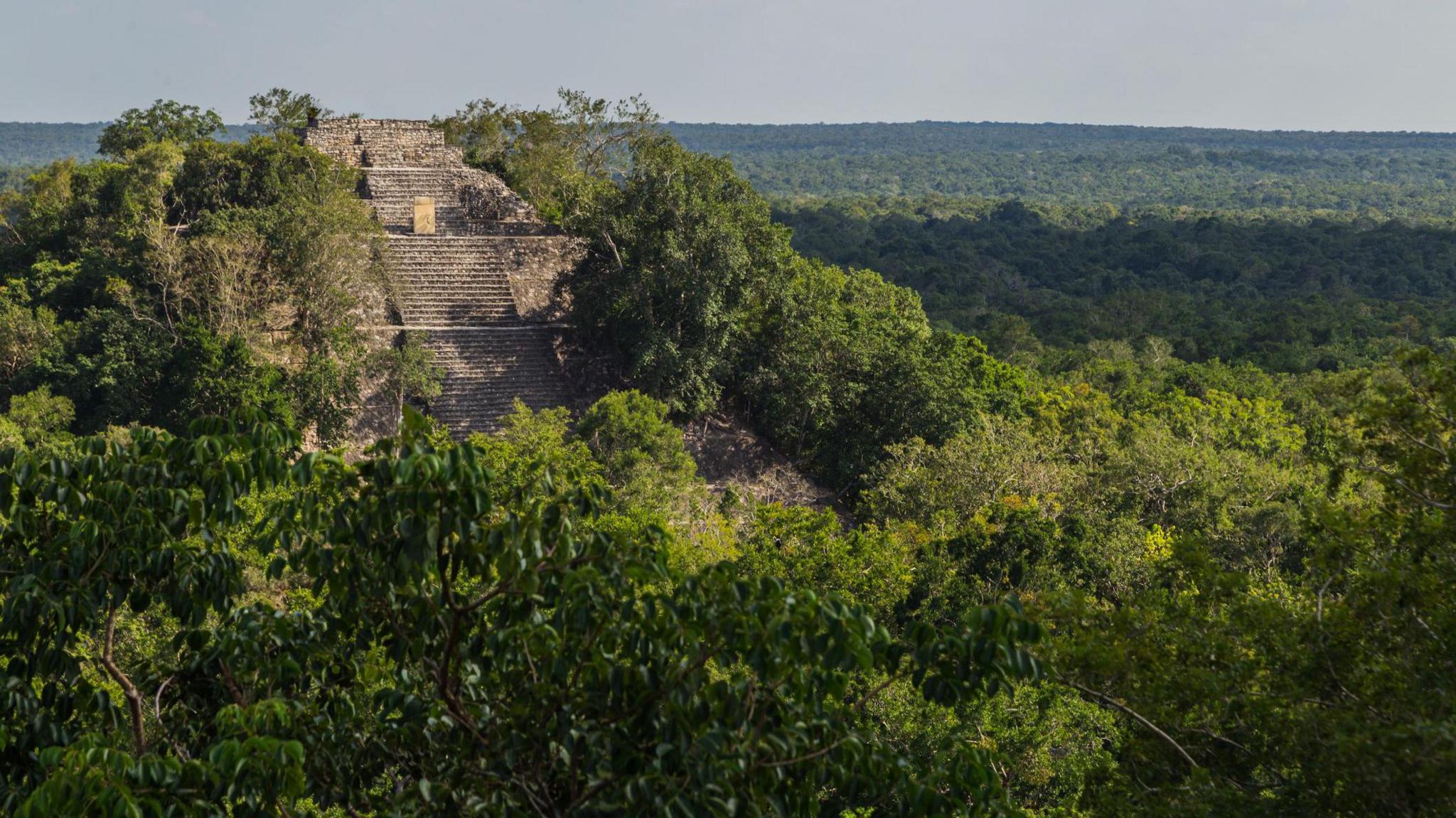 A photograph of the Calakmul Mayan temple pyramid ruins in Campeche, Mexico