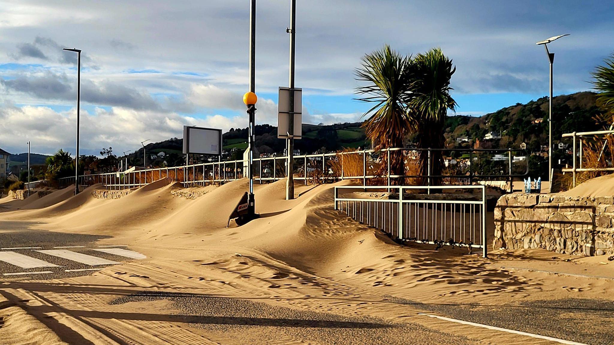 Sand in Minehead has formed into dunes after a storm swept it up from the beach. The dunes are on the side of a road, with palm trees in the background.