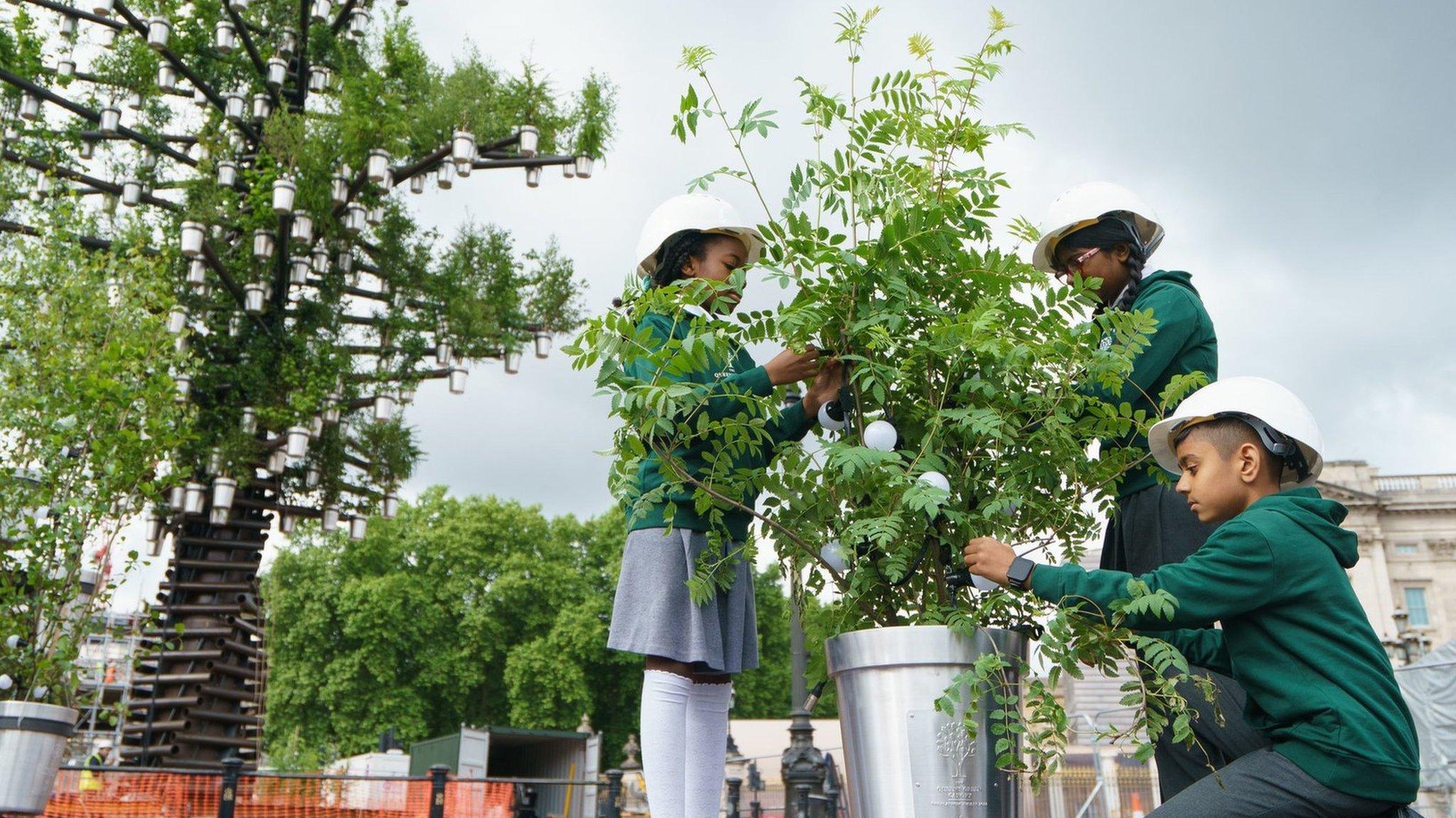 Children planting trees