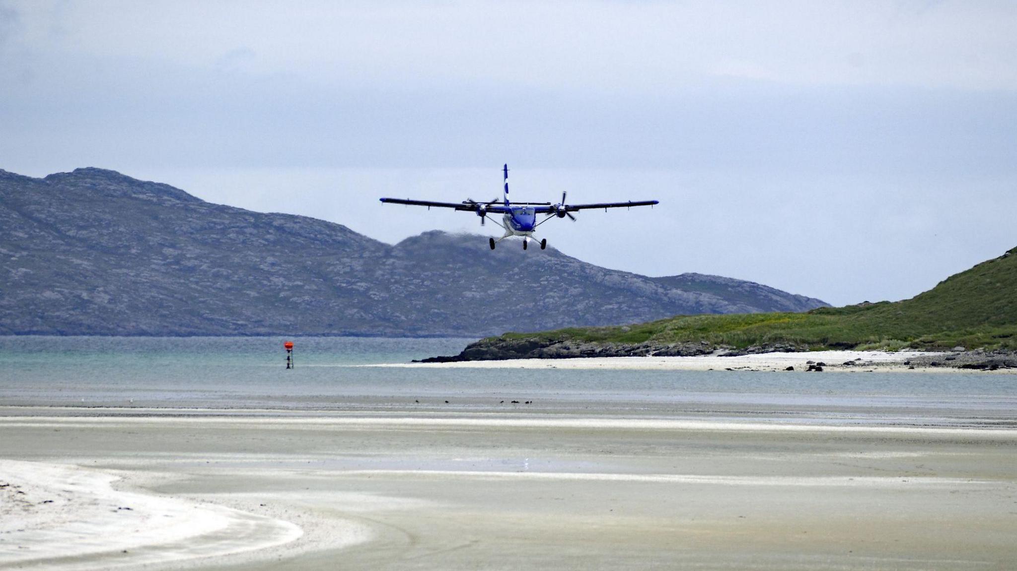Plèana a' laighe air an Tràigh Mhòir am Barraigh
