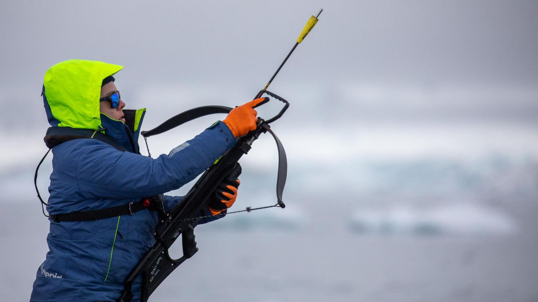 Whale biologist Dr Natalia Botero-Acosta prepares to take a remote tissue biopsy from a whale, using a crossbow 