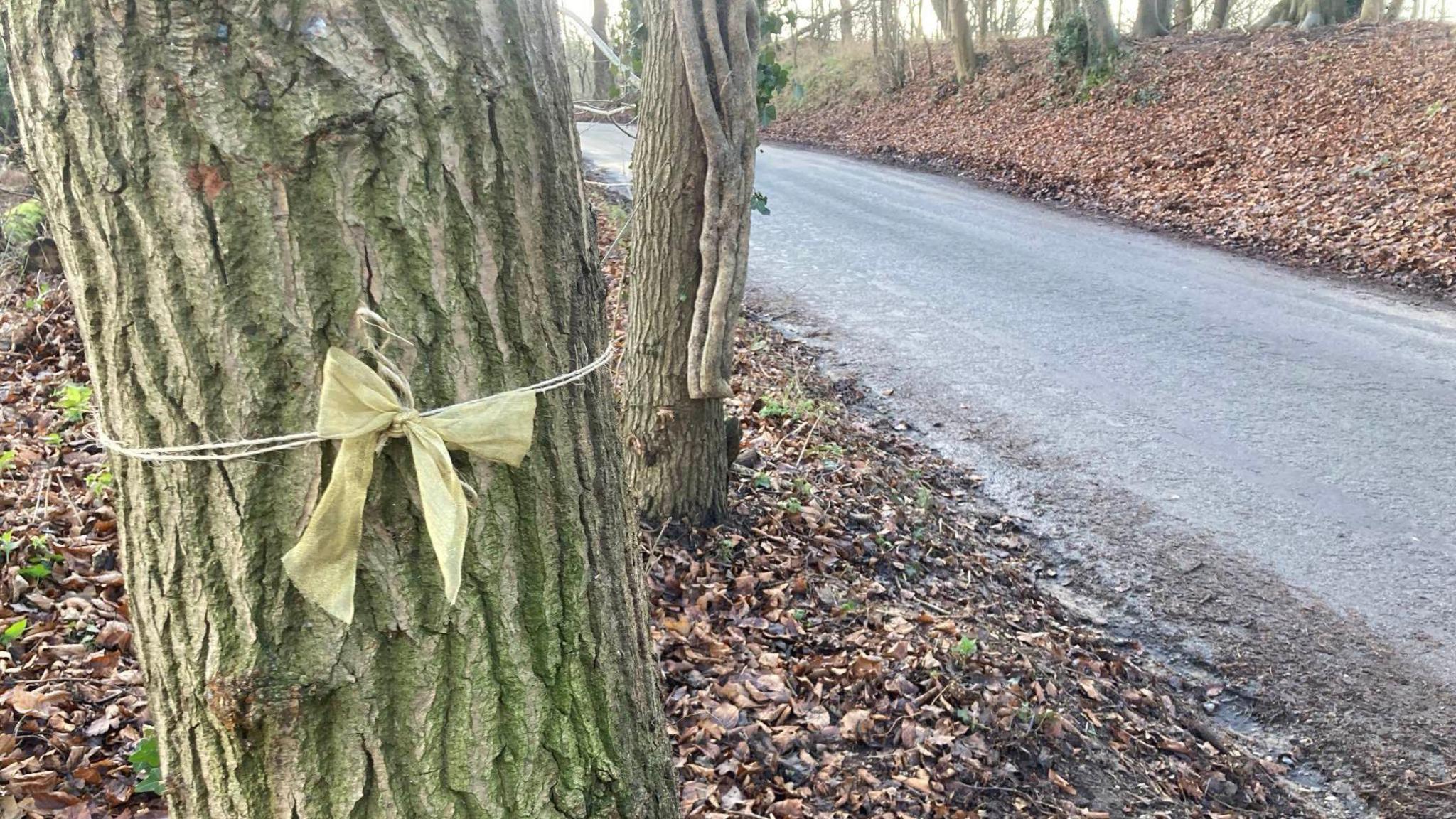 A gold bow tied to a tree by string