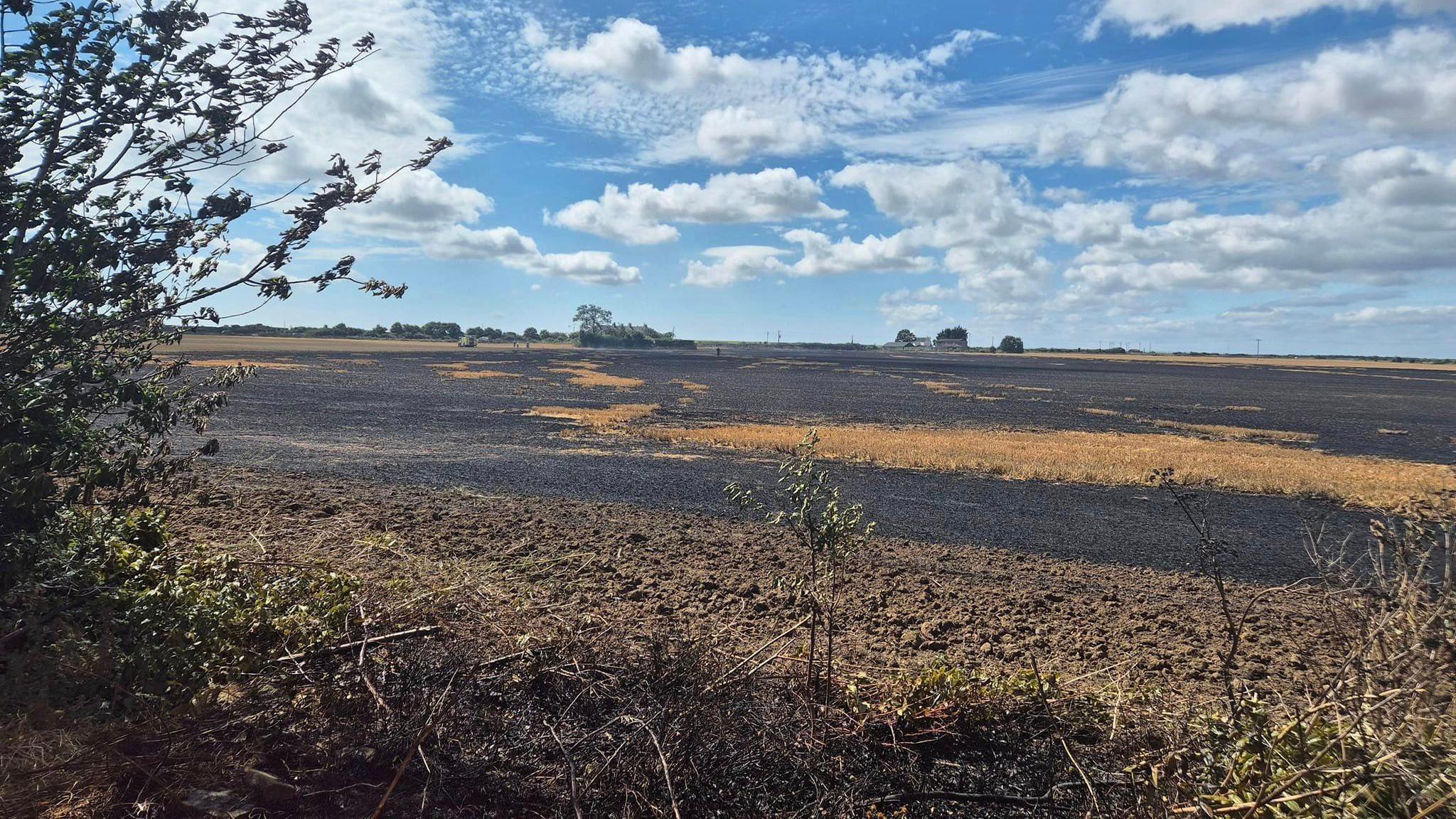 Field in Manston