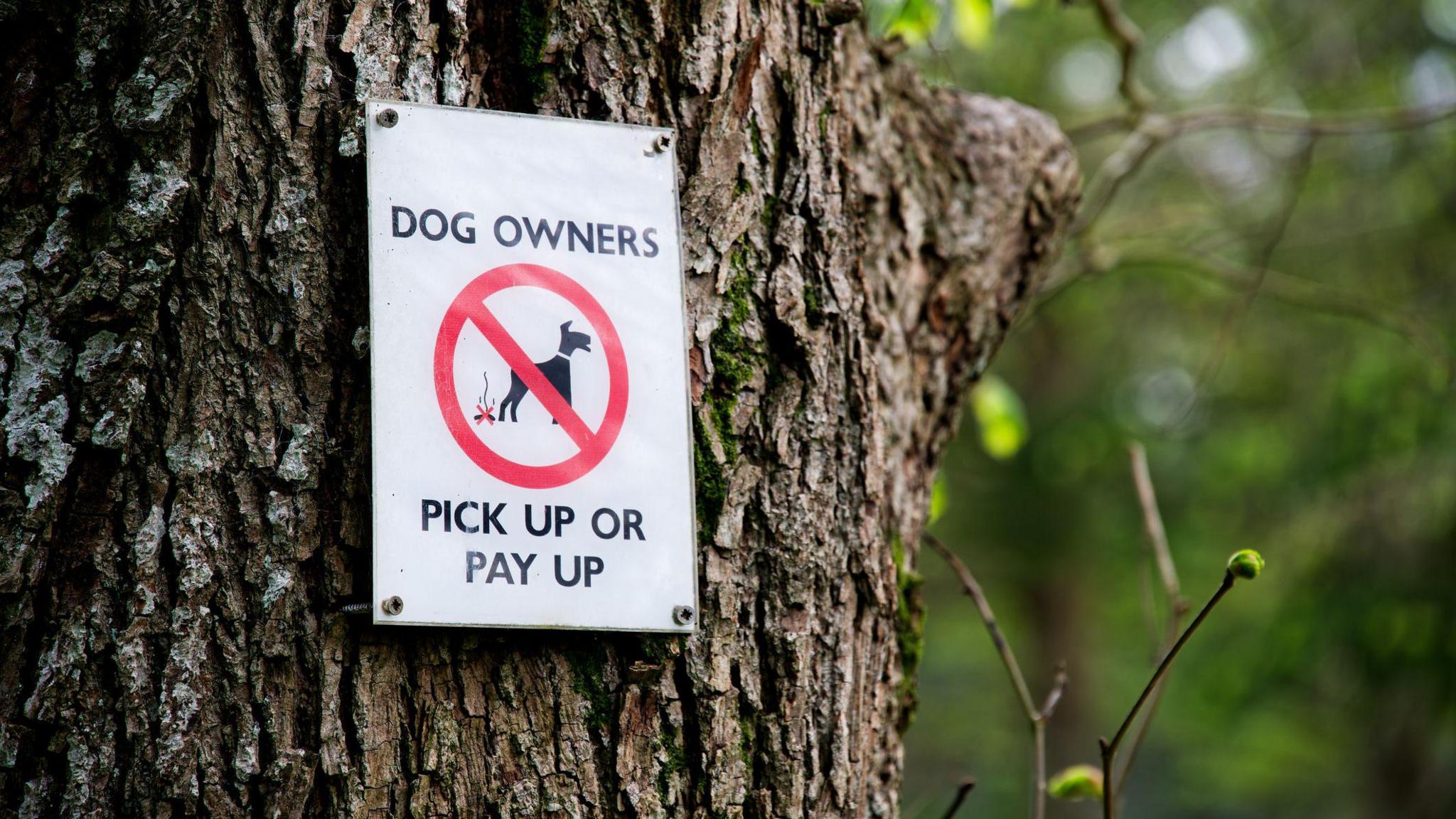 Craobh le soidhne rithe a tha ag ràdh DOG OWNERS PICK UP OR PAY UP