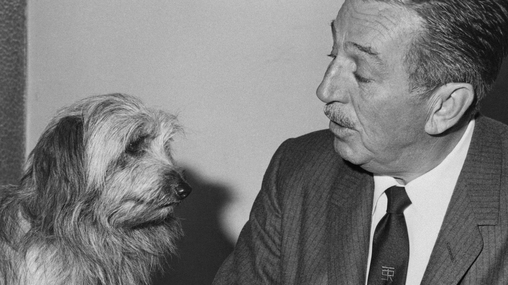 Greyfriars Bobby and Walt Disney