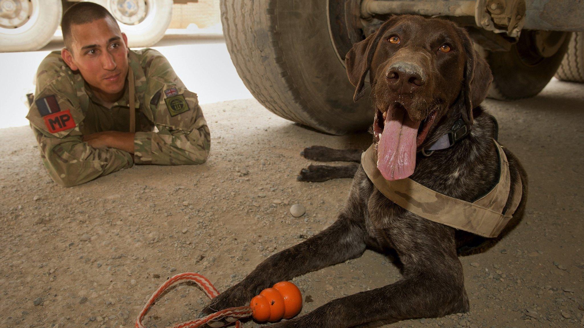 Hertz with RAF Police Dog Handler Corporal Dack