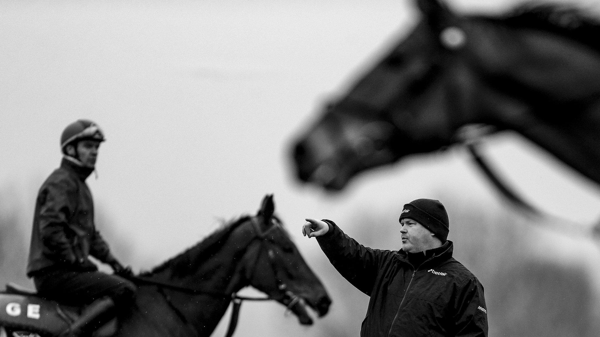 Cheltenham horses