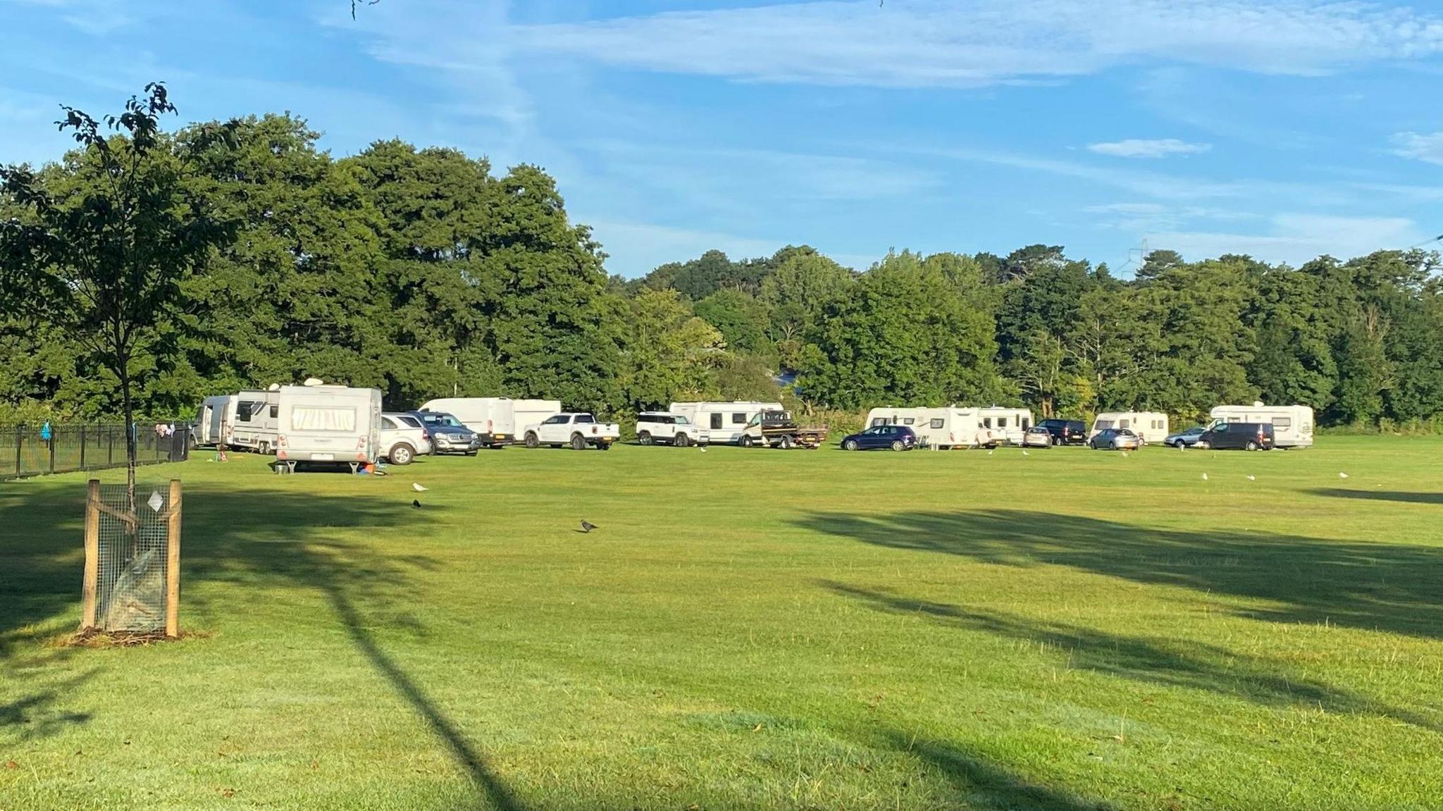 Several camper vans and cars parked on a green field. There are trees behind them.