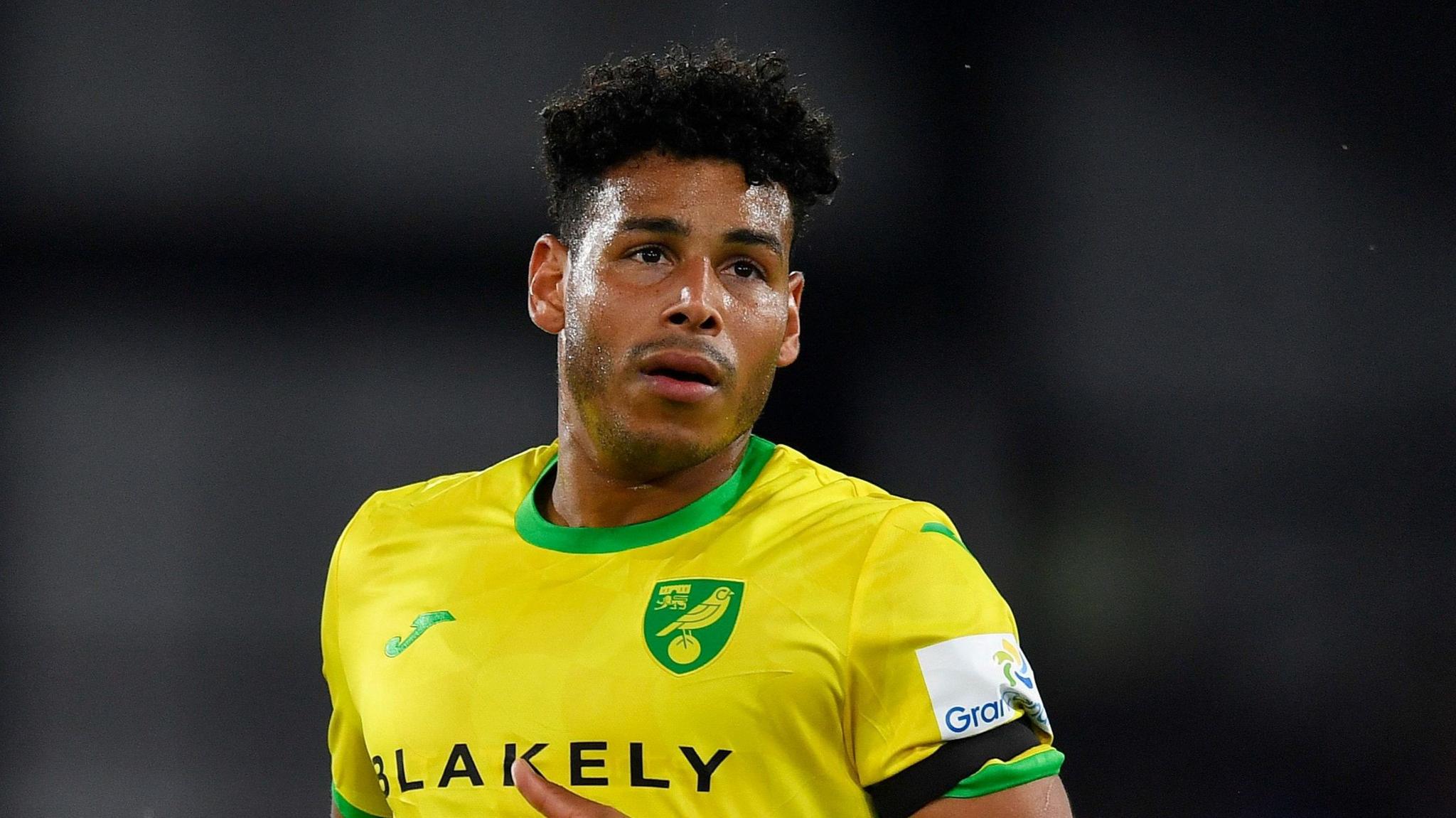Onel Hernandez in action for Norwich
