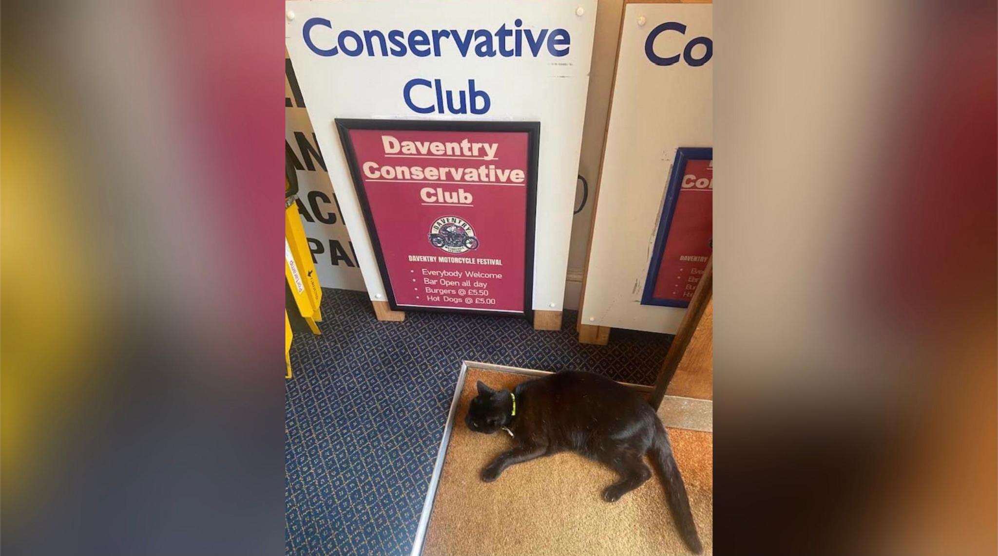 Salem lies on a door mat before a sign that reads "Daventry Conservative Club"