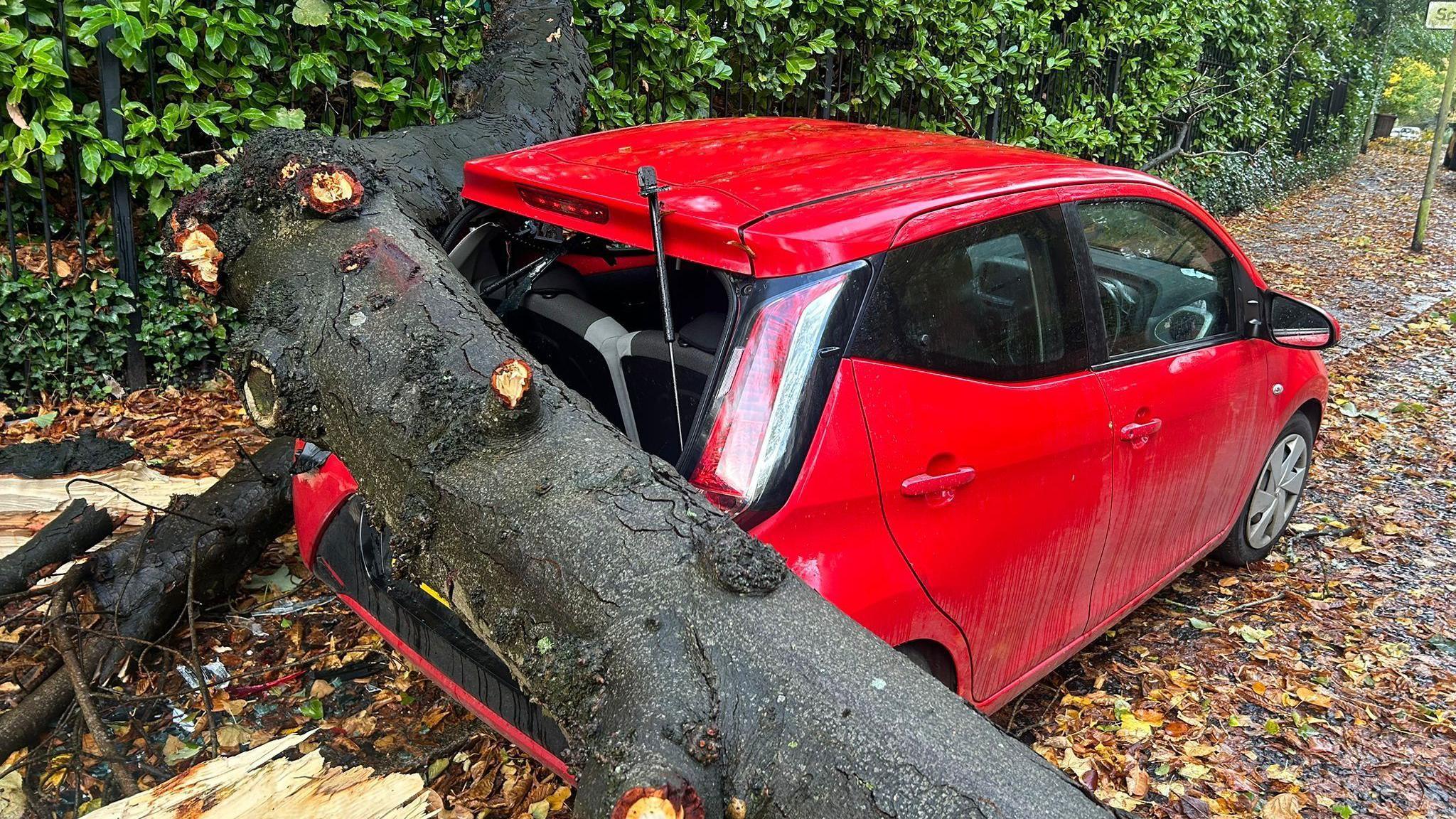 A fallen tree rests on the back of a damaged red car on a leaf-strewn street in Belfast.   The rear window is broken. 