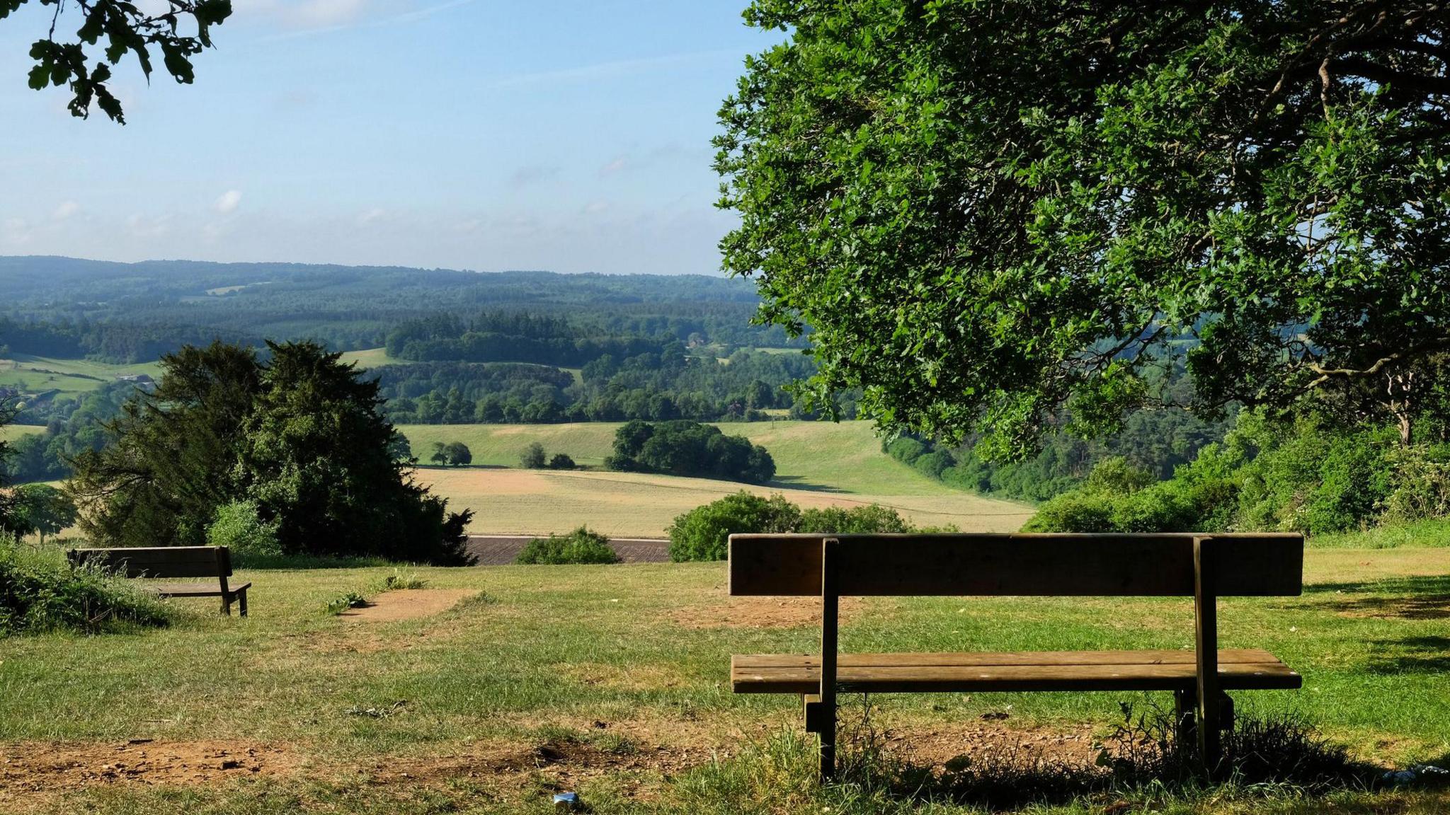 Two benches seen from the back and facing out over green fields and trees at Newlands Corner. The sky is blue and there are no people in sight.