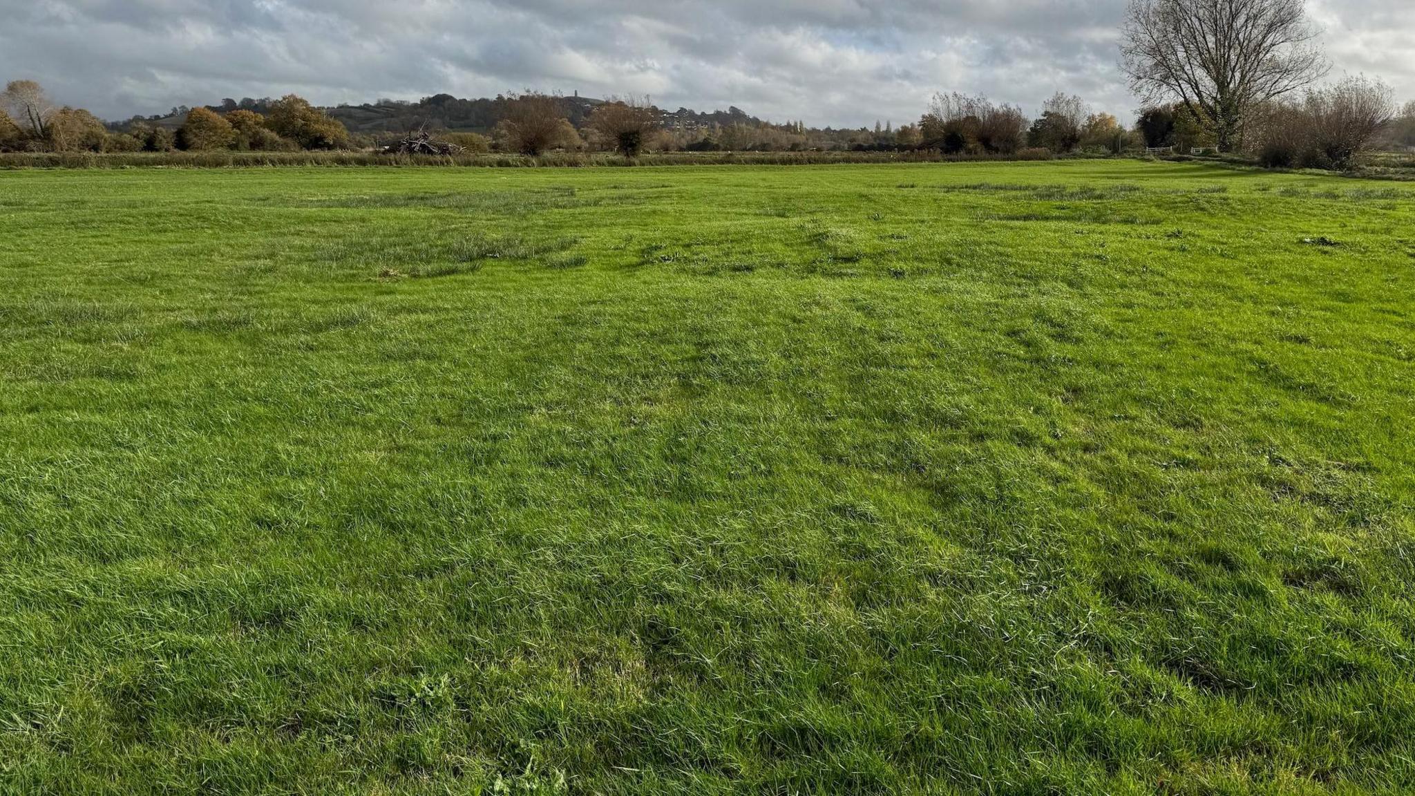 A green field with a number of rolling bumps in it. In the distance is a the skyline, marked out by trees and, further away, a hill with Glastonbury Tor on.