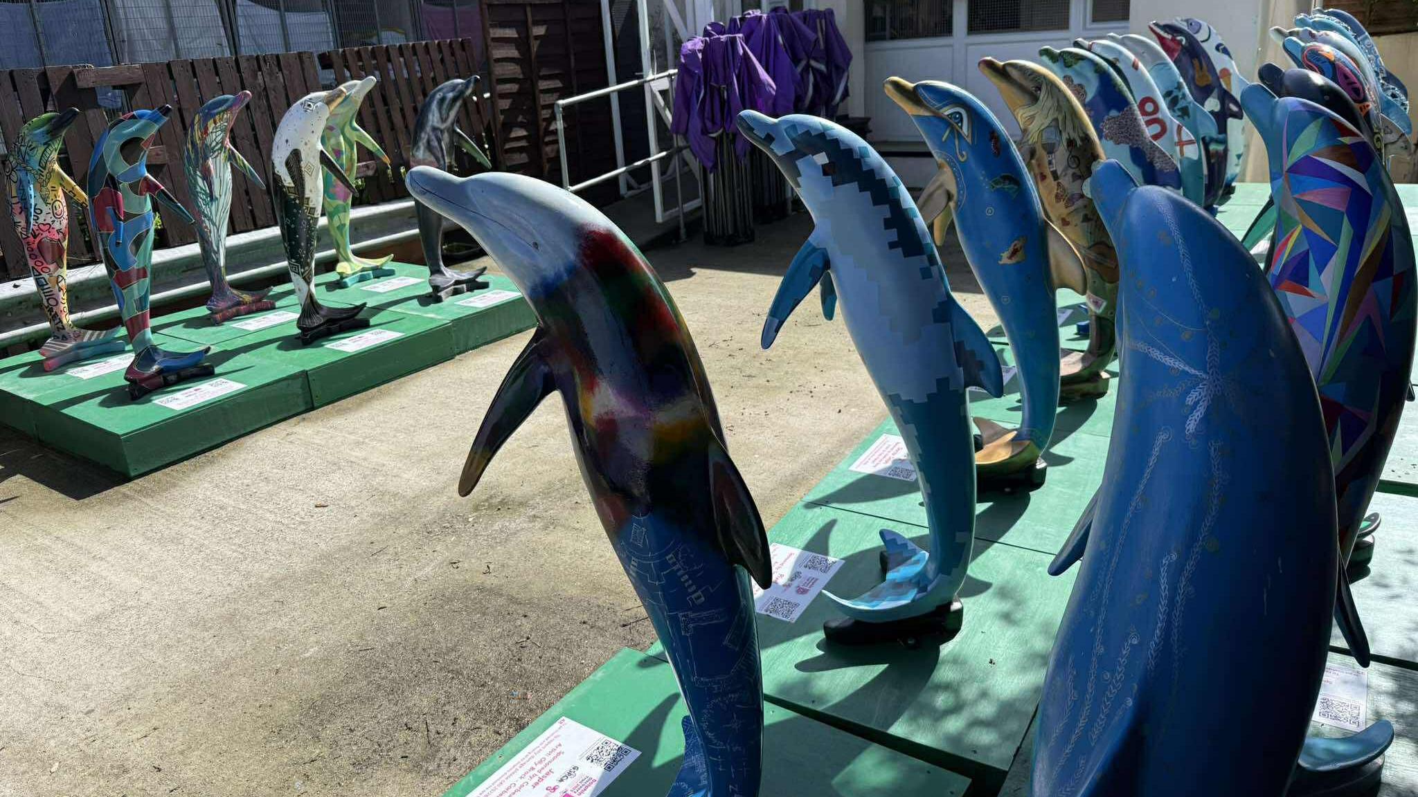 Double rows of the dolphin sculptures mounted on green blocks face each other in a concrete yard. They sit upright on their tails and every one is uniquely decorated. They are brightly coloured and individually patterned.