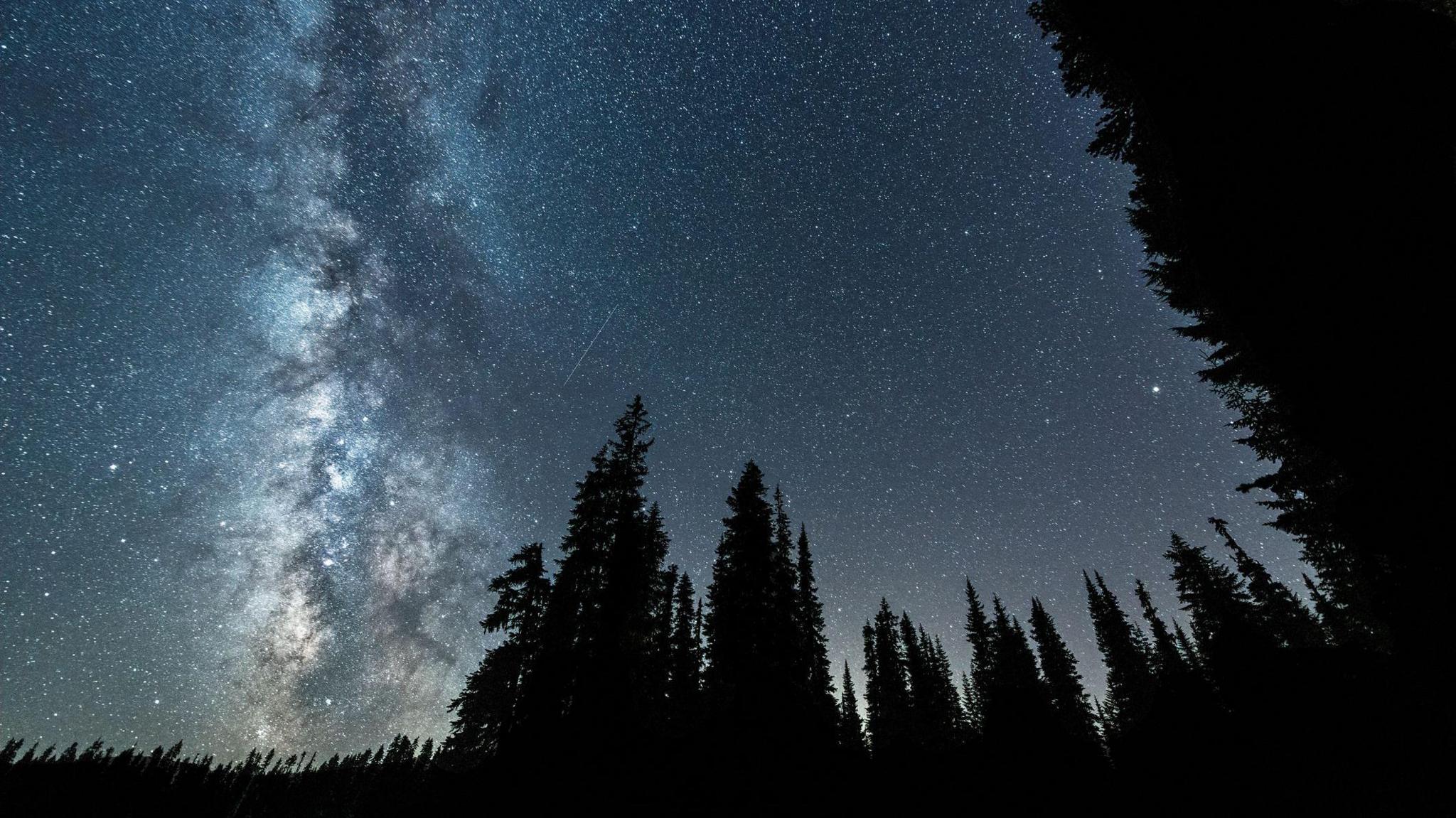 The Delta Aquariids meteor shower and Milky Way over the Gifford Pinchot National Forest in the USA.
