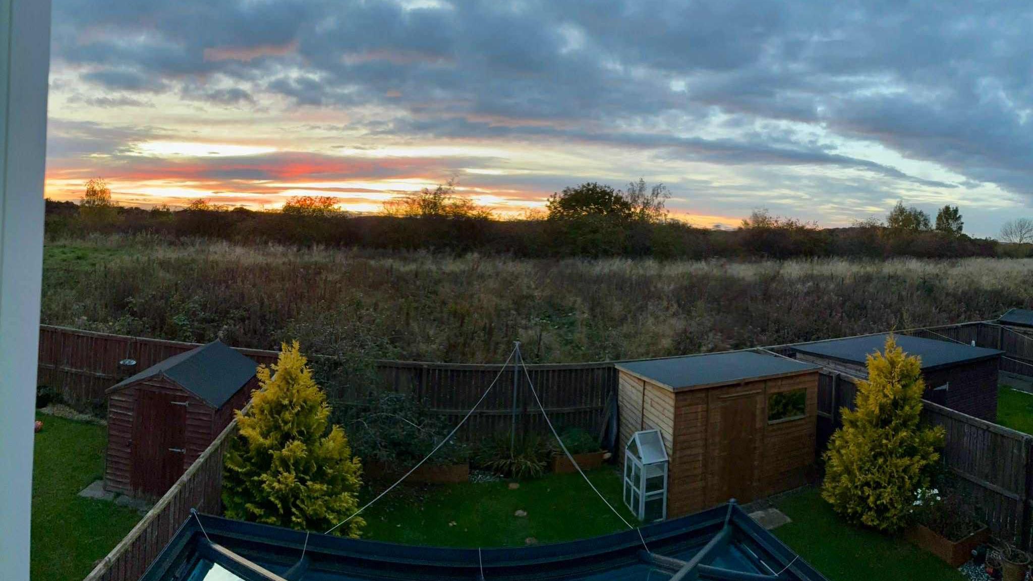 A row of back gardens with wooden sheds. There is a vast grassland with trees behind a wooden fence. The sky is colored in orange by the sunset.