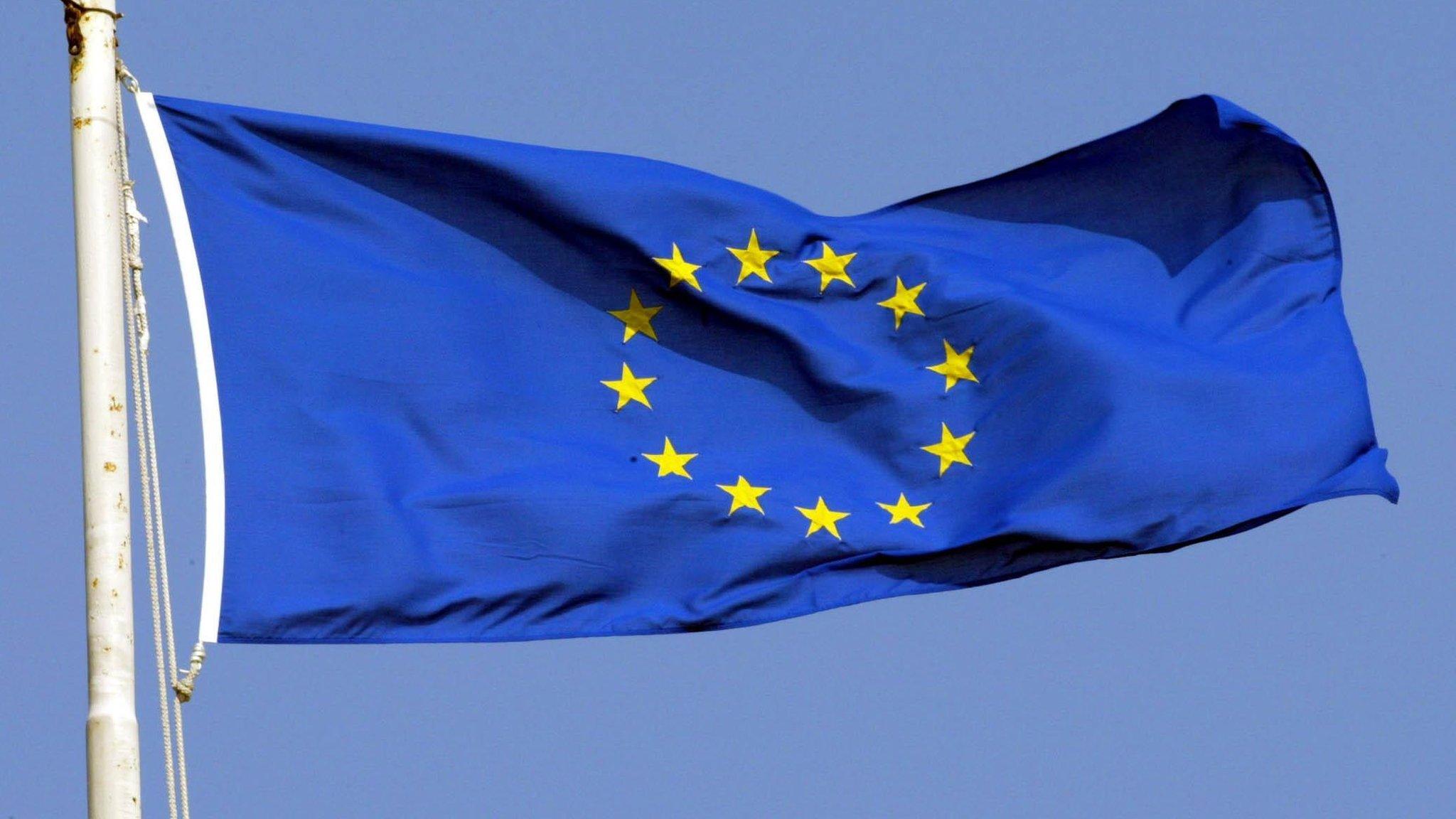 European Union flag