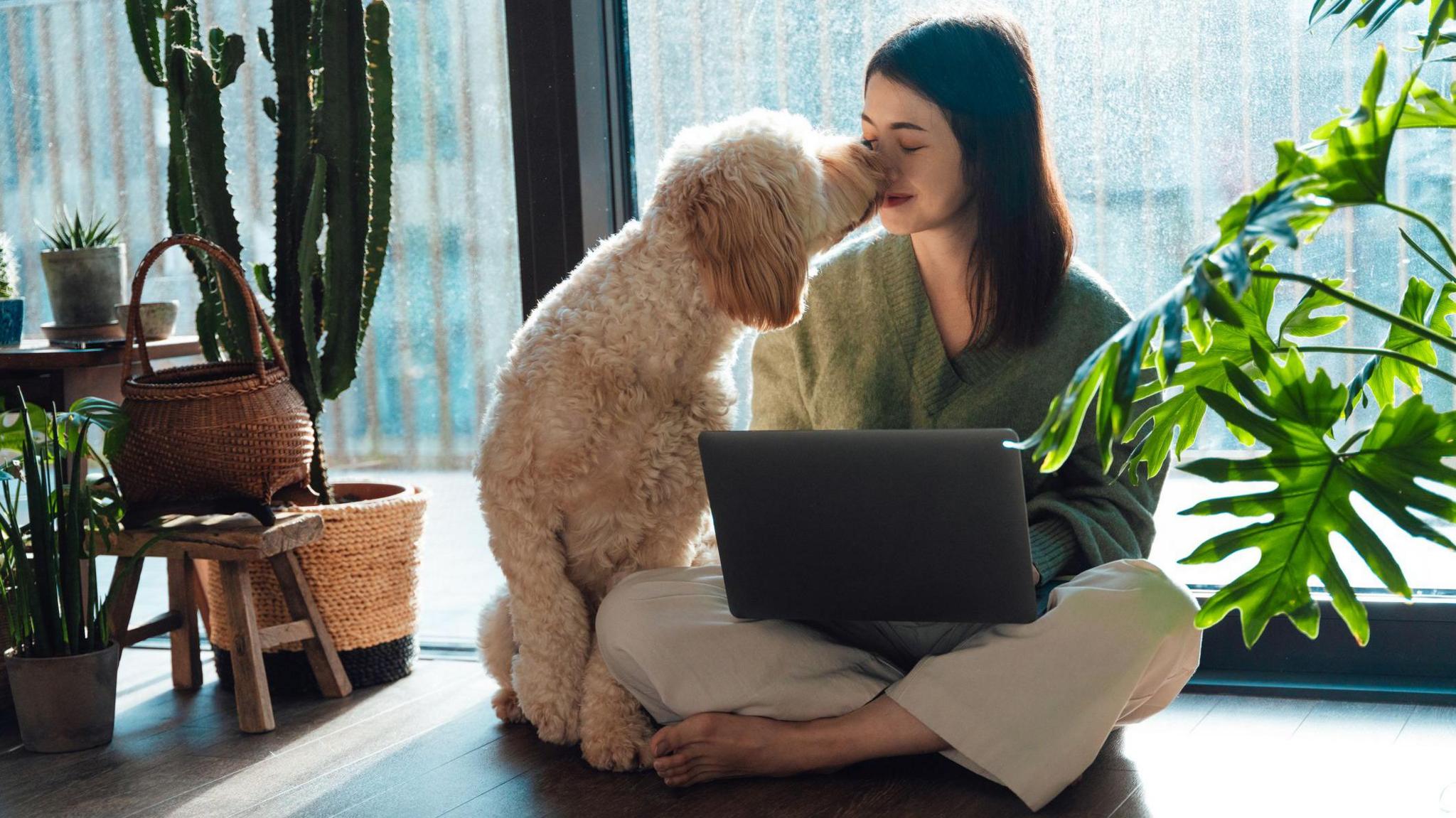 Young woman kissing with her dog while using laptop, sitting on the floor, relaxing at home on a sunny afternoon.