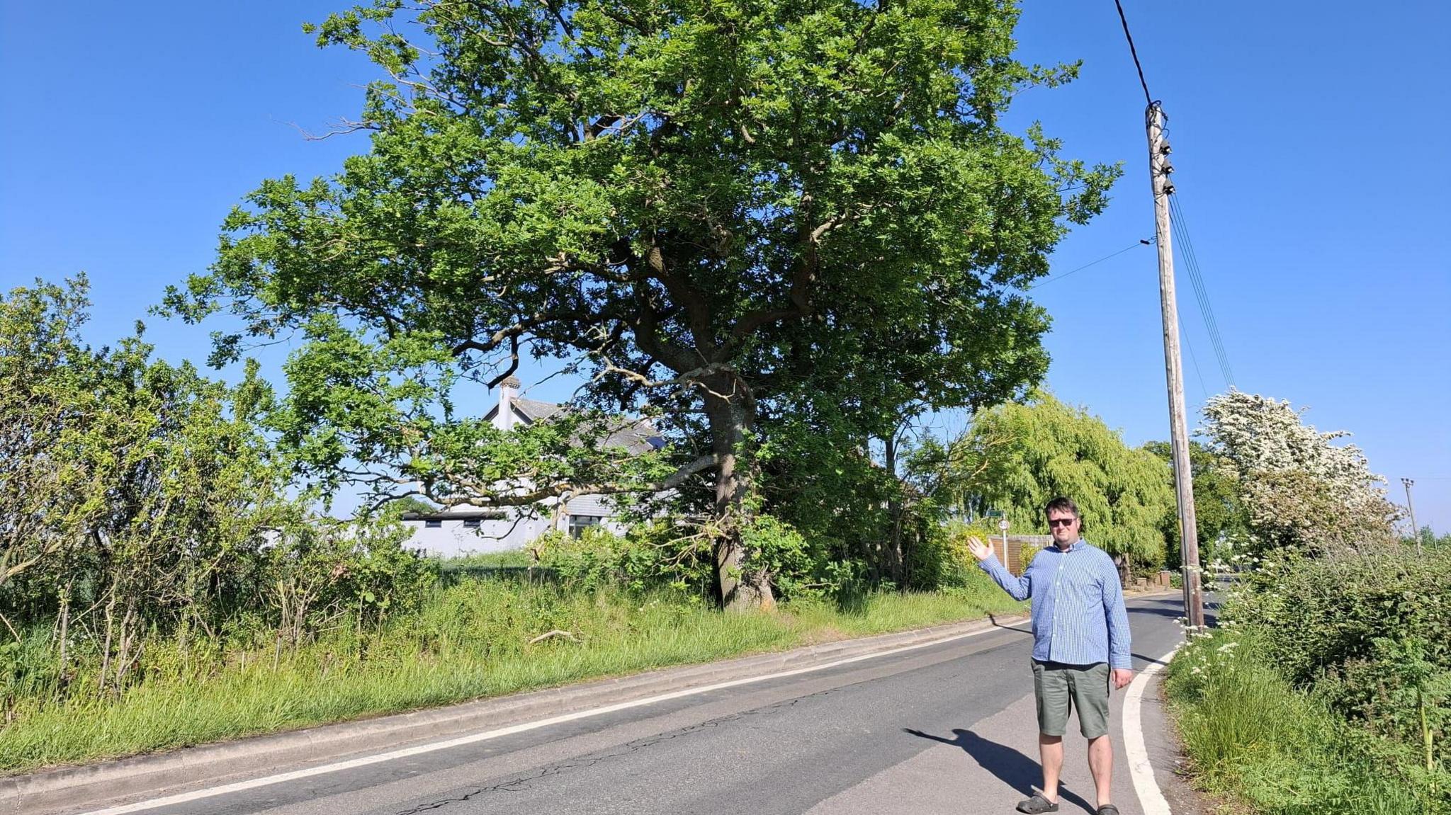 A man stood beside a road pointing at a large tree on the other side of the road
