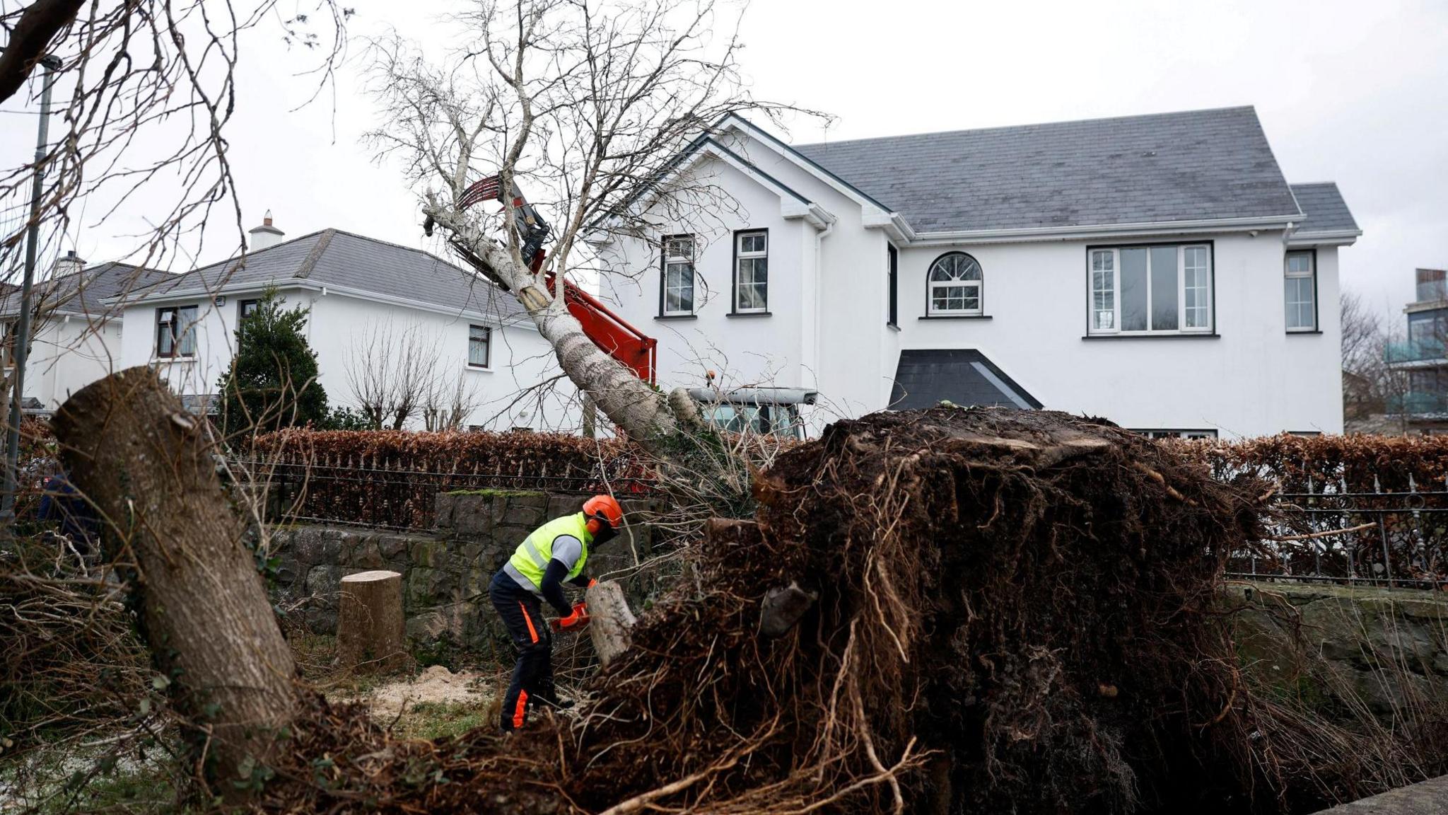 A man with a chainsaw starts to clear a large tree which has been uprooted and has fallen over near a detached white house in County Galway