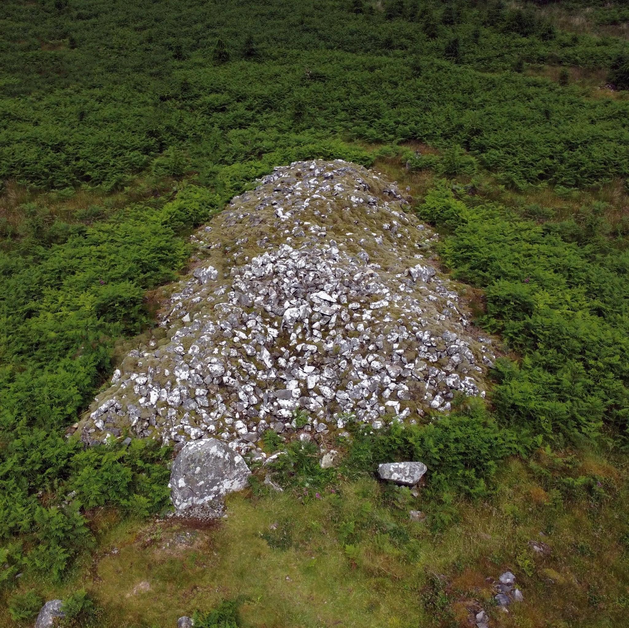 A pile of stones in a Galloway forest which is all that remains of a chambered cairn