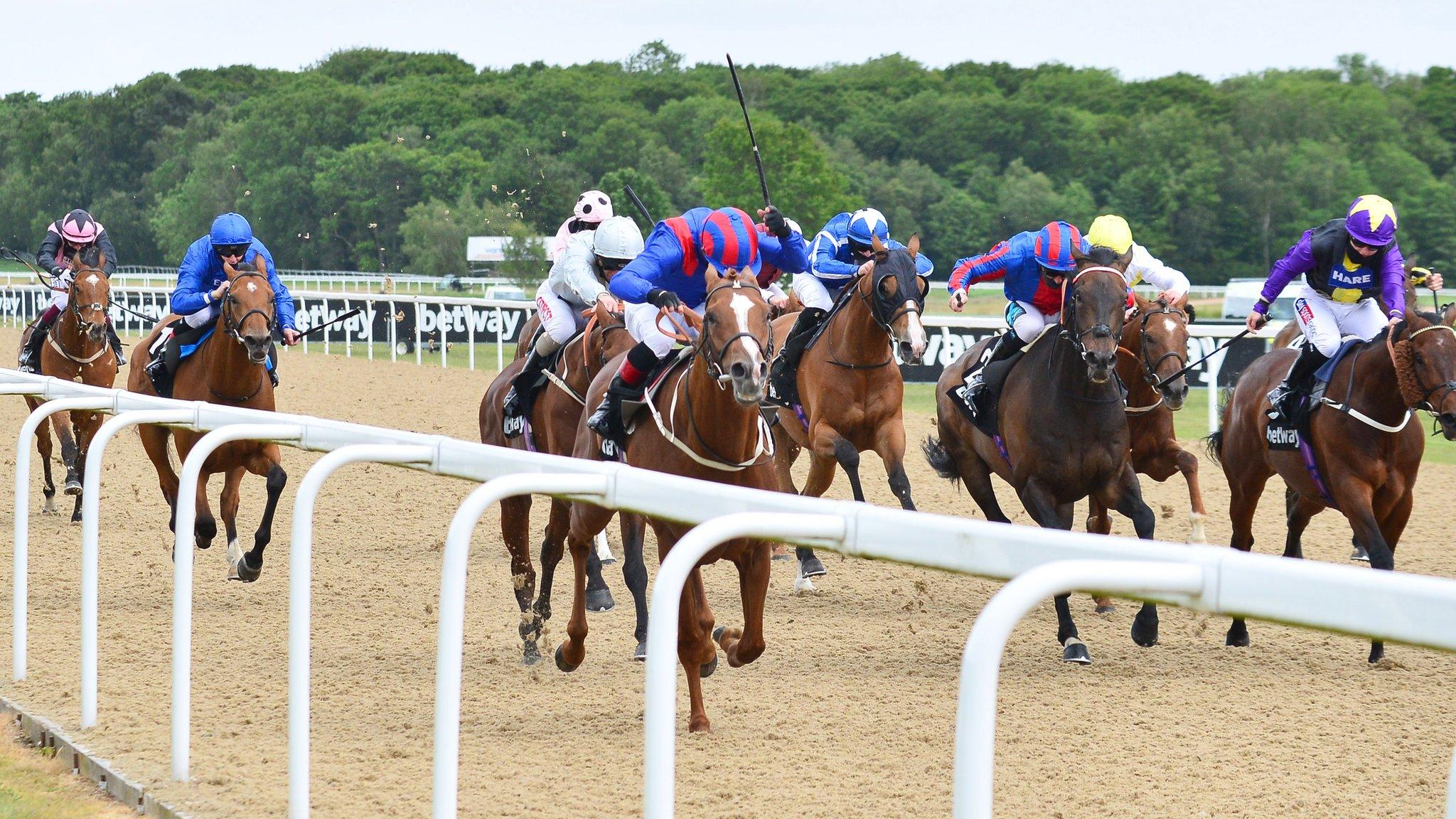 Horse racing in Newcastle in June