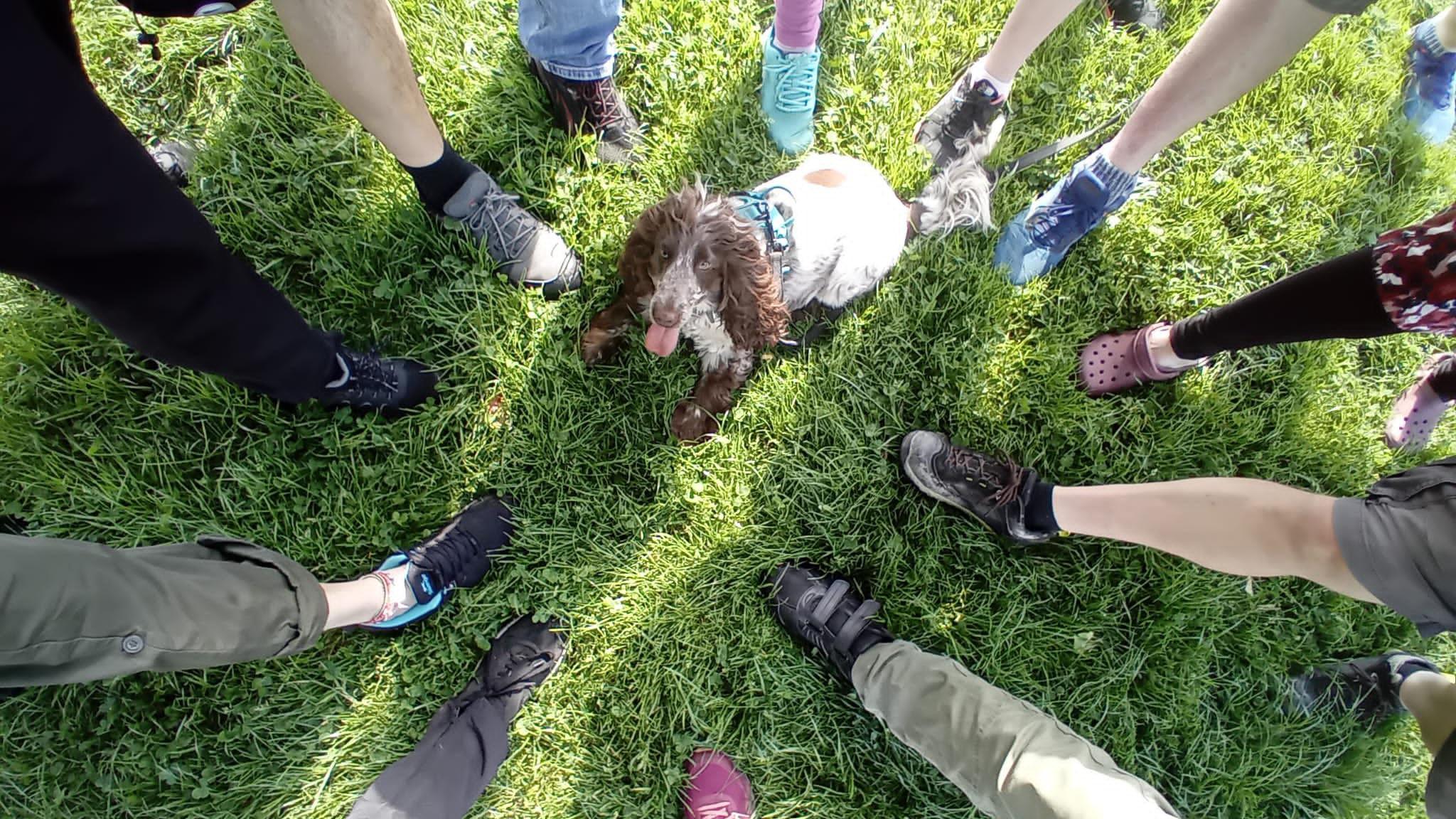 A group of people standing in a full circle pointing one foot inwards towards a dog.