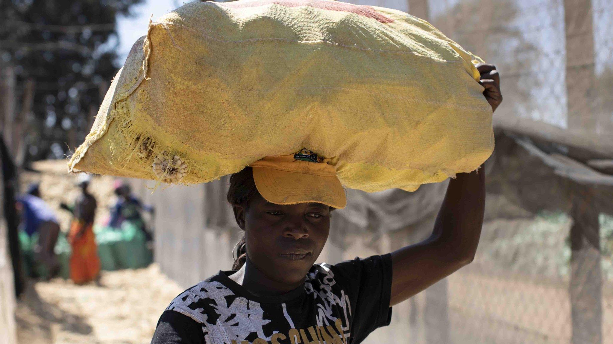 Zimbabwe farm worker