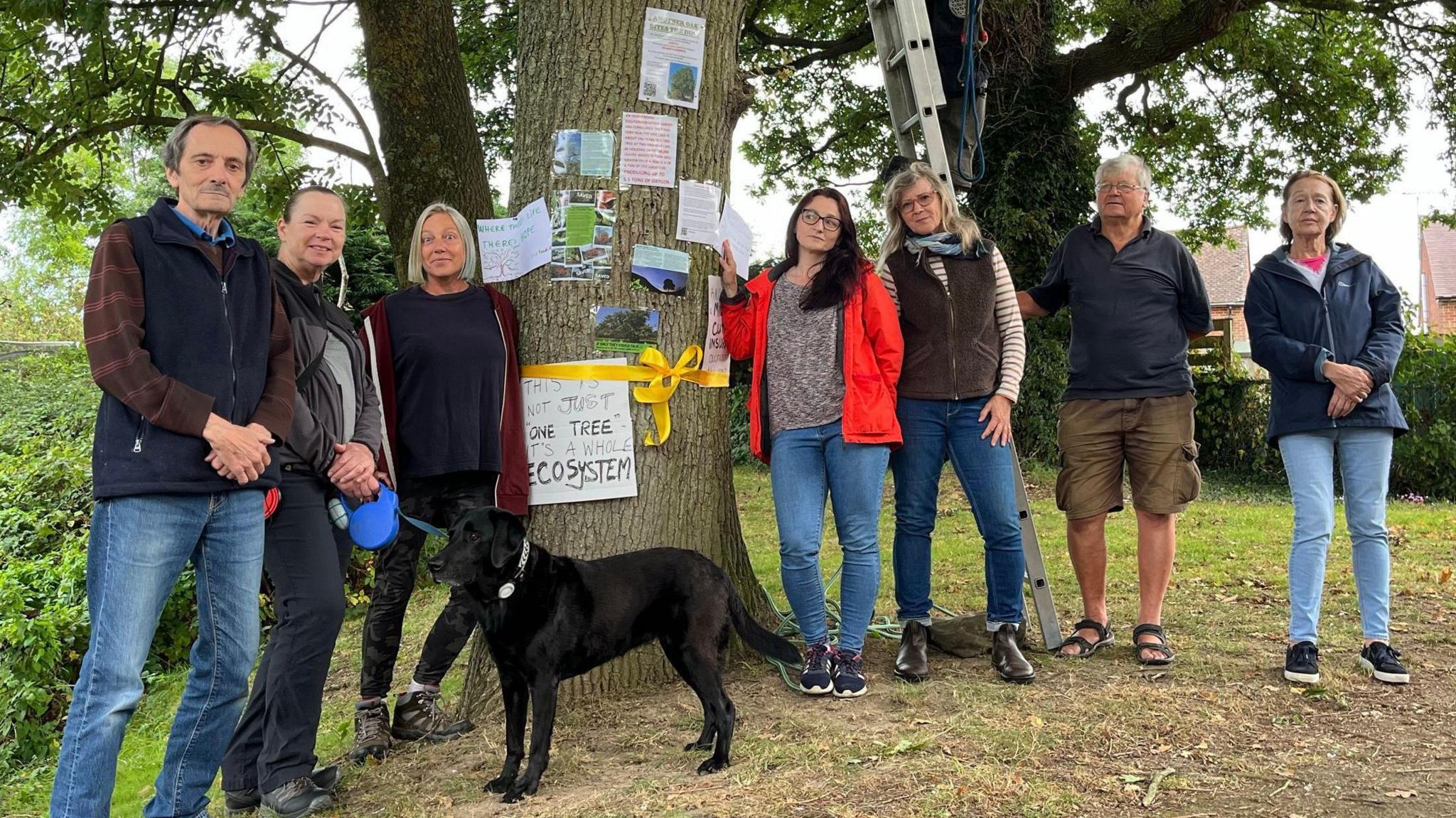 A group of  Cowfold residents stand next the the oak tree they want to save.  