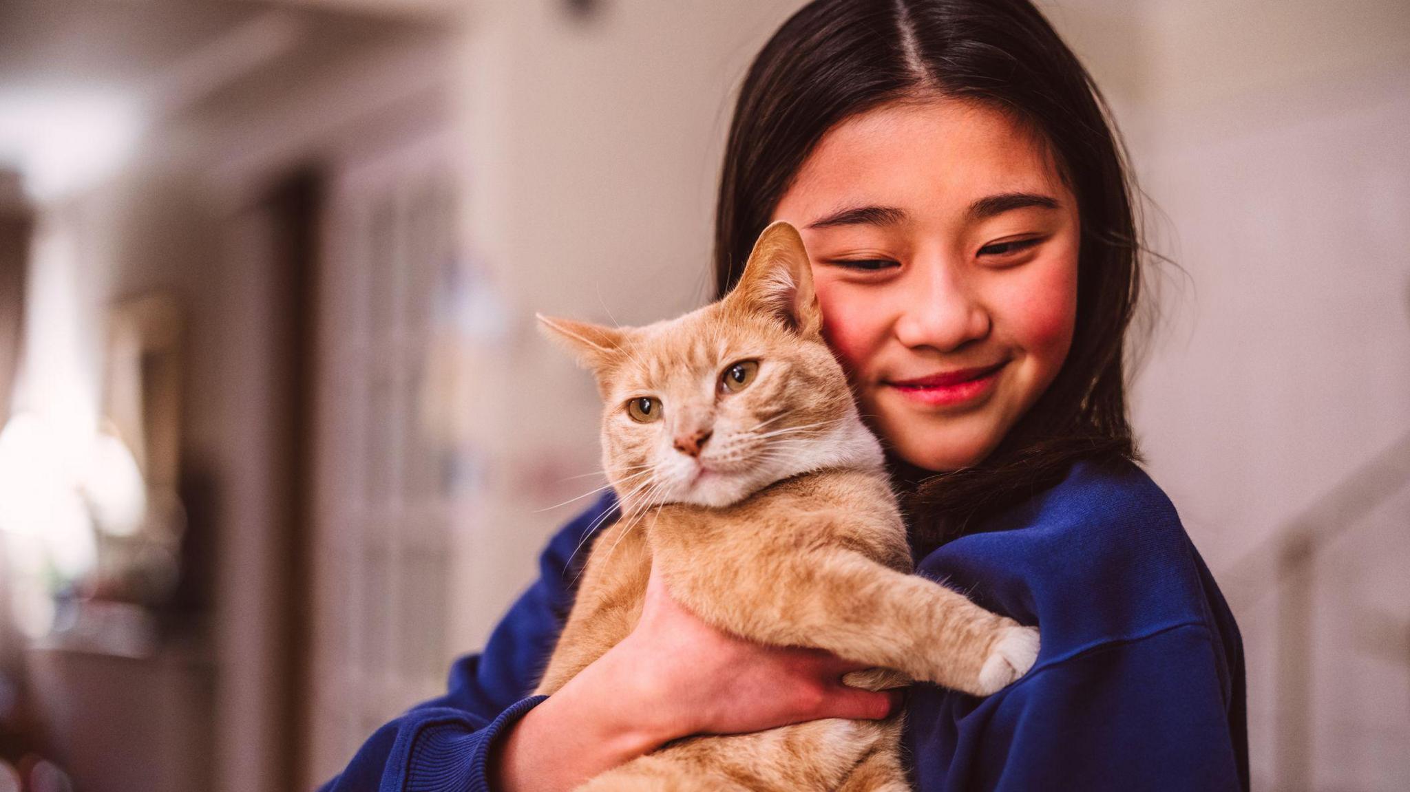 A girl with long dark brown straight hair is wearing a blue jumper and smiling with her mouth closed. She is holding a ginger and white cat and cuddling it. Her cheek is up against the back of the cats head. 