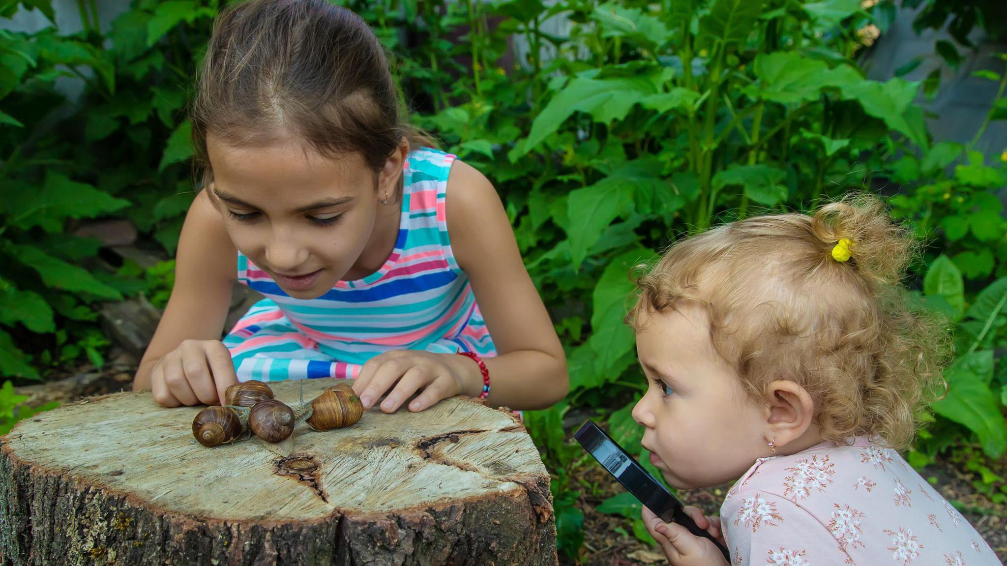 Two girls are looking at snails on a tree-trunk. One is holding a magnifying glass.