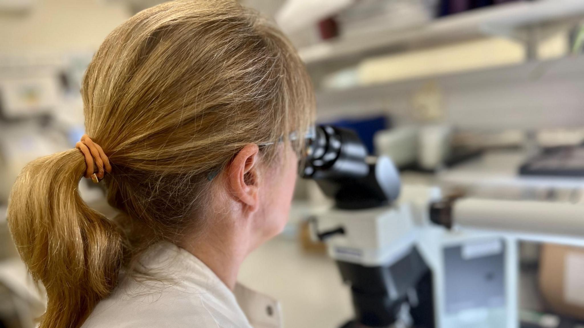 A researcher at the University of Cambridge Cancer Molecular Diagnostics Laboratory looks through a microscope at a breast biopsy sample on a slide. She is looking to see if the sample is cancerous, before it goes off for genetic screening. The woman has blonde hair tied in a pony tail and is wearing a white lab coat.