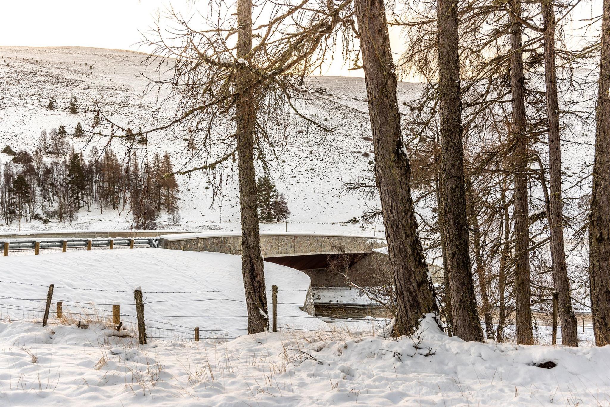 An image of Gairnshiel Jubilee Bridge in the snow, taken looking through a row of trees. 