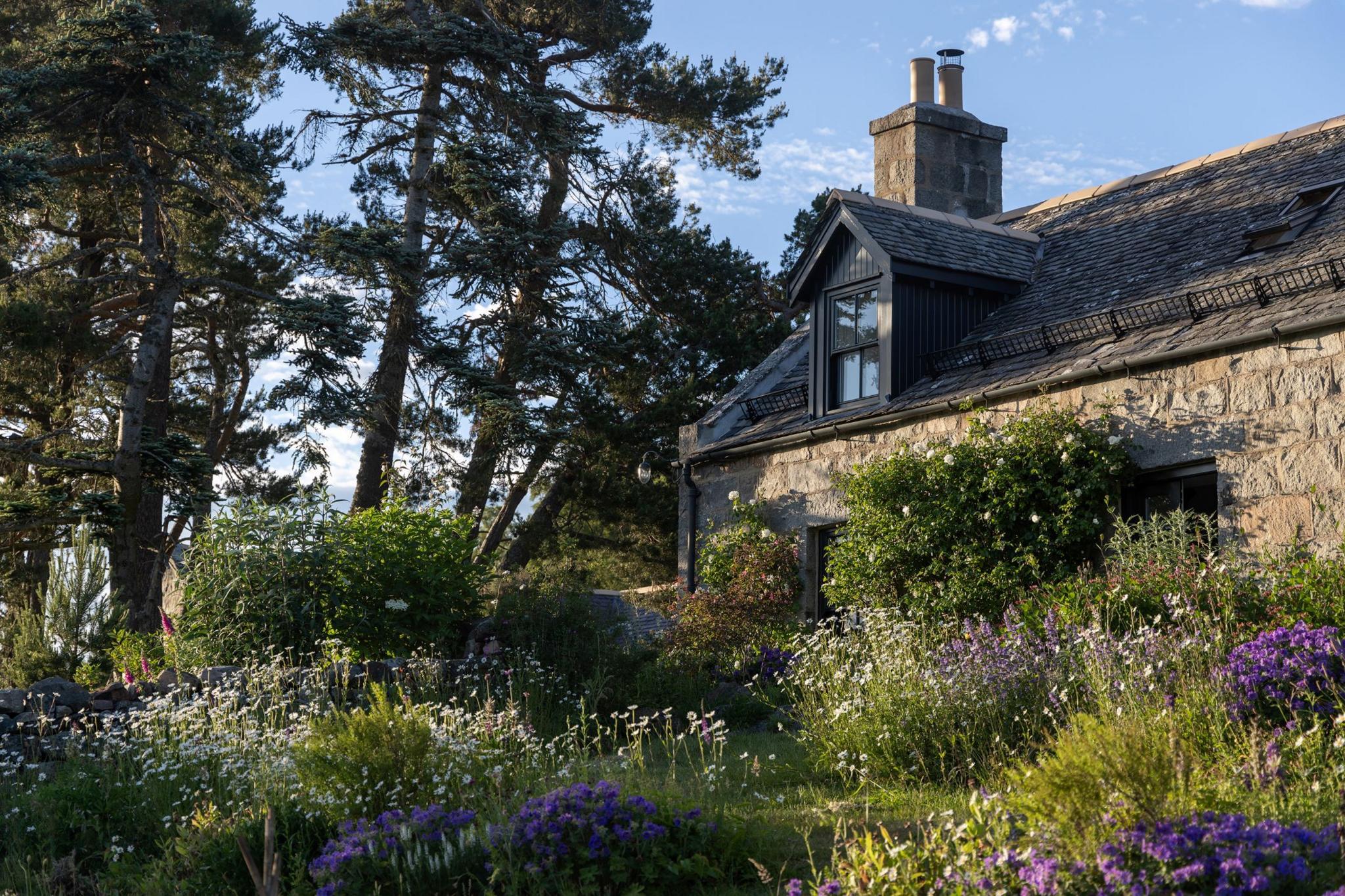 Ardoch rises from a lush green garden, a stone-built cottage surrounded by wildflowers and towering trees