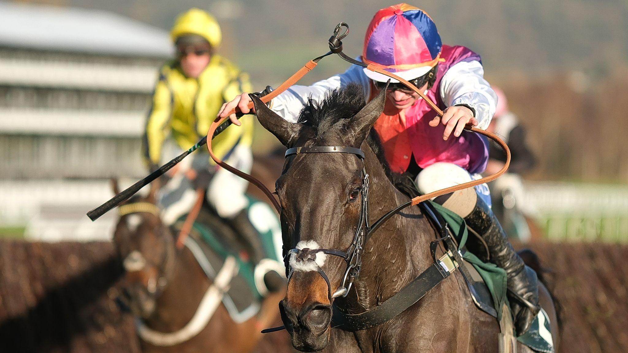 Sean Bowen riding Haiti Couleurs at Cheltenham Racecourse
