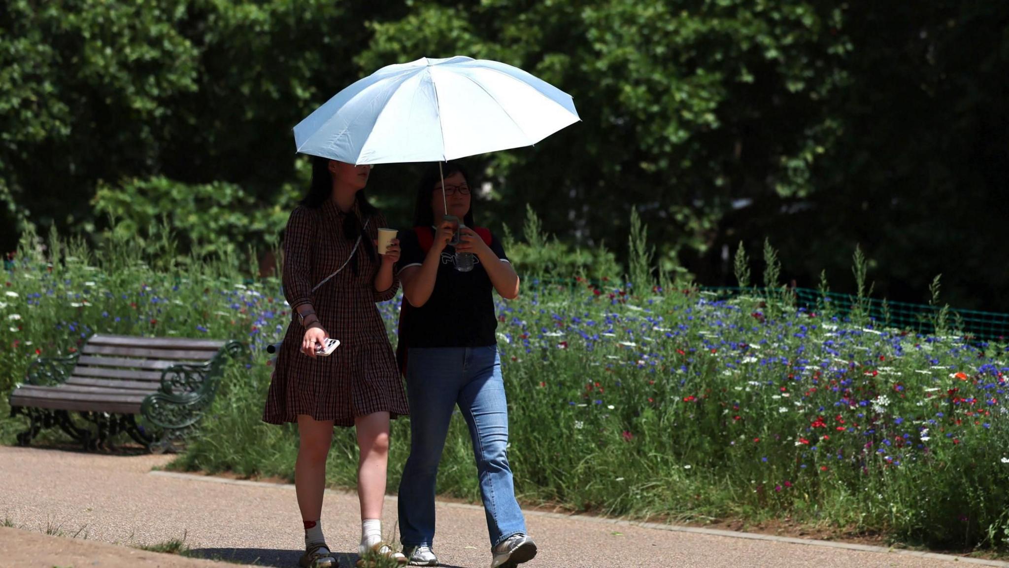 Women shelter themselves from sun with umbrella in London park on 26 June 2026