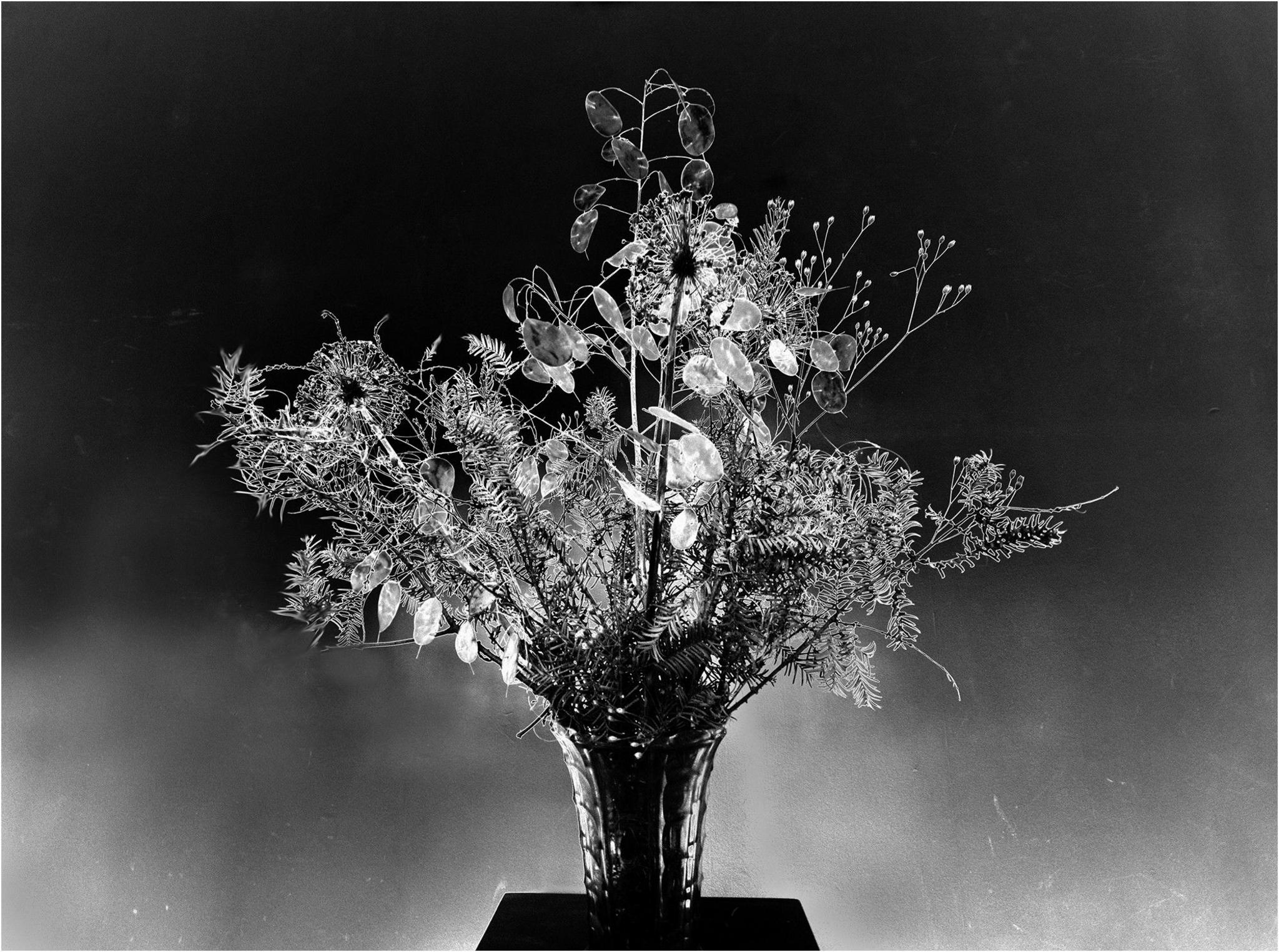 Flowers in a vase photographed in black and white