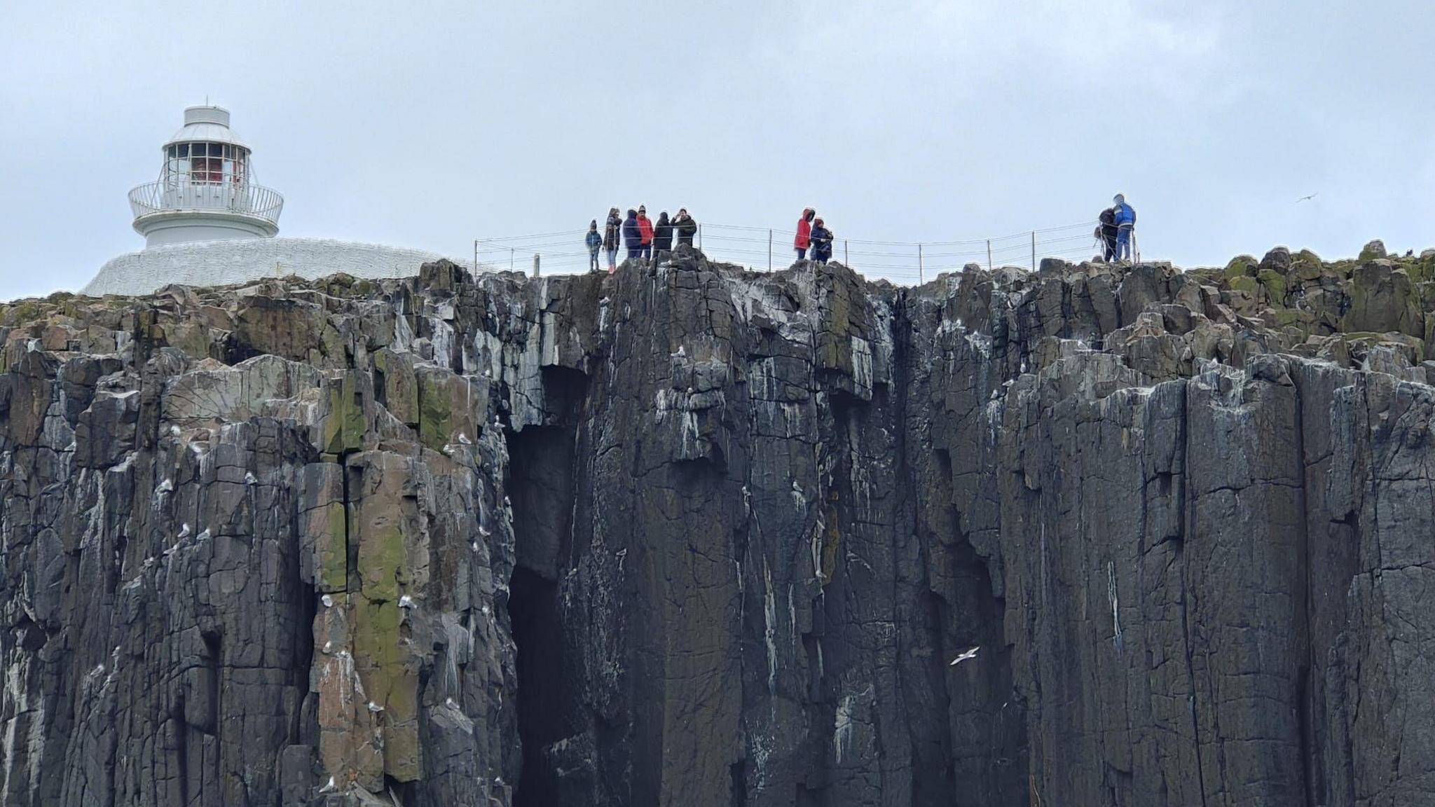 People standing on the edge of Inner Farne next to the lighthouse 