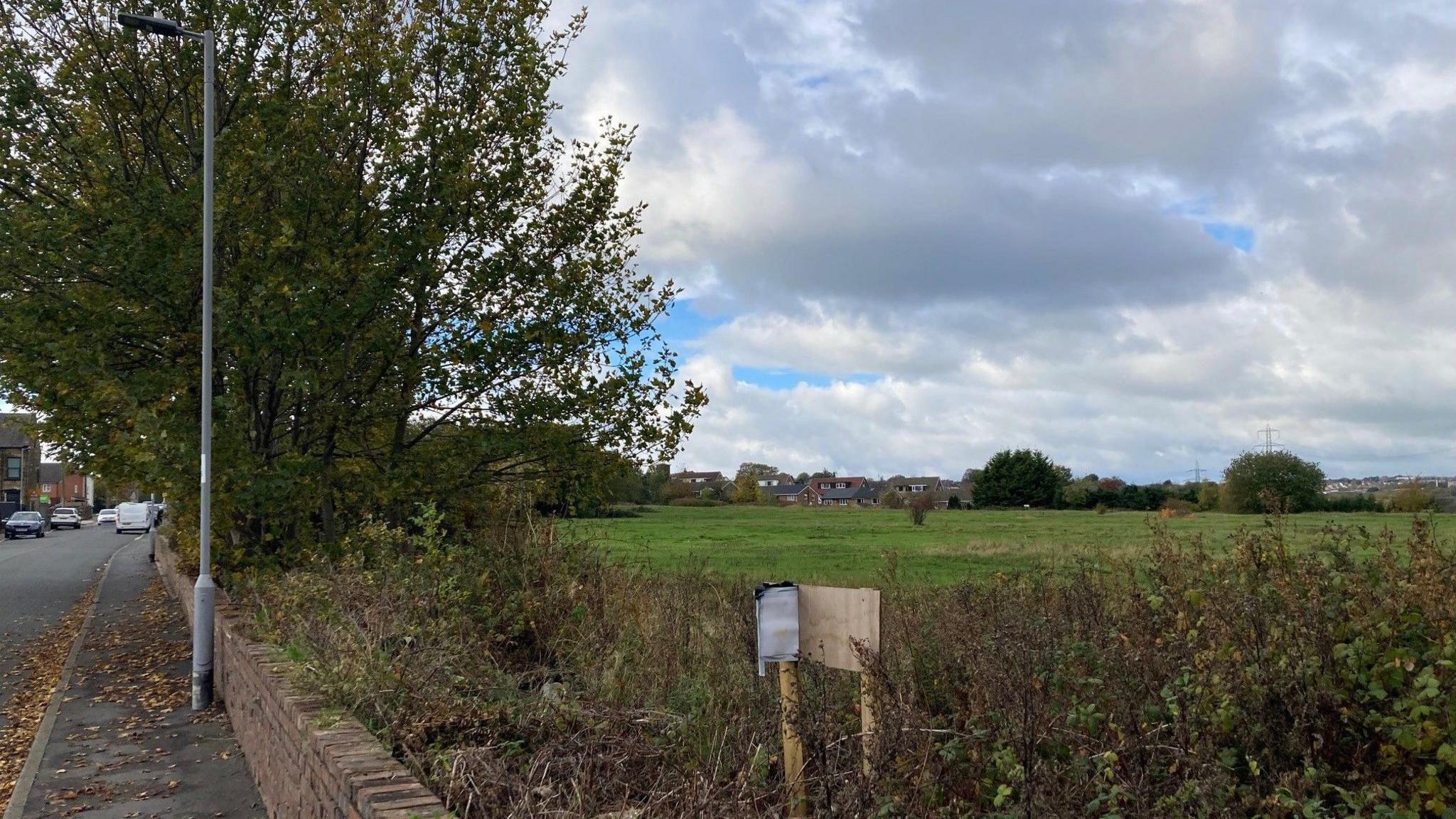 A green field with trees and grey lamppost to the left hand side.