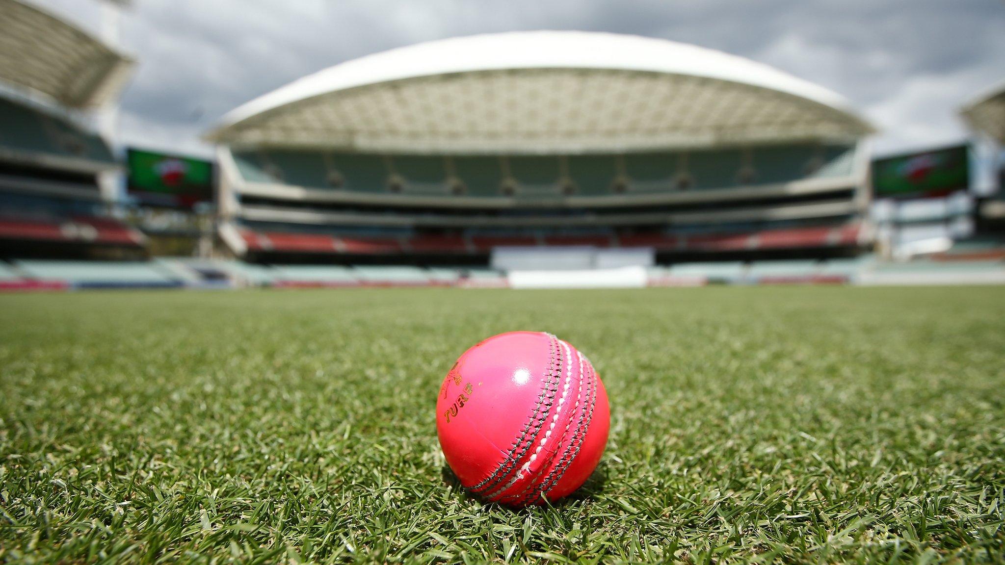 Adelaide day-night Ashes Test