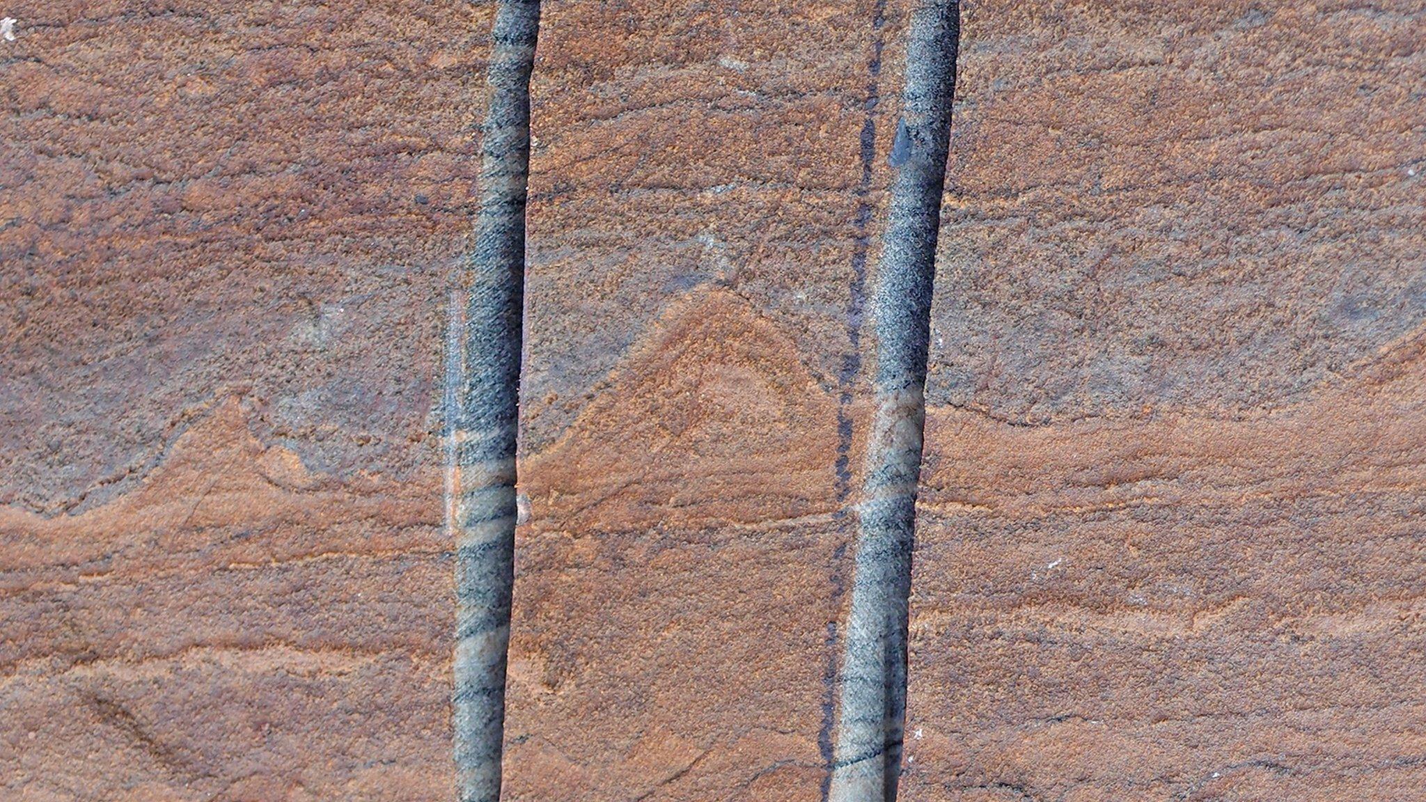 stromatolites