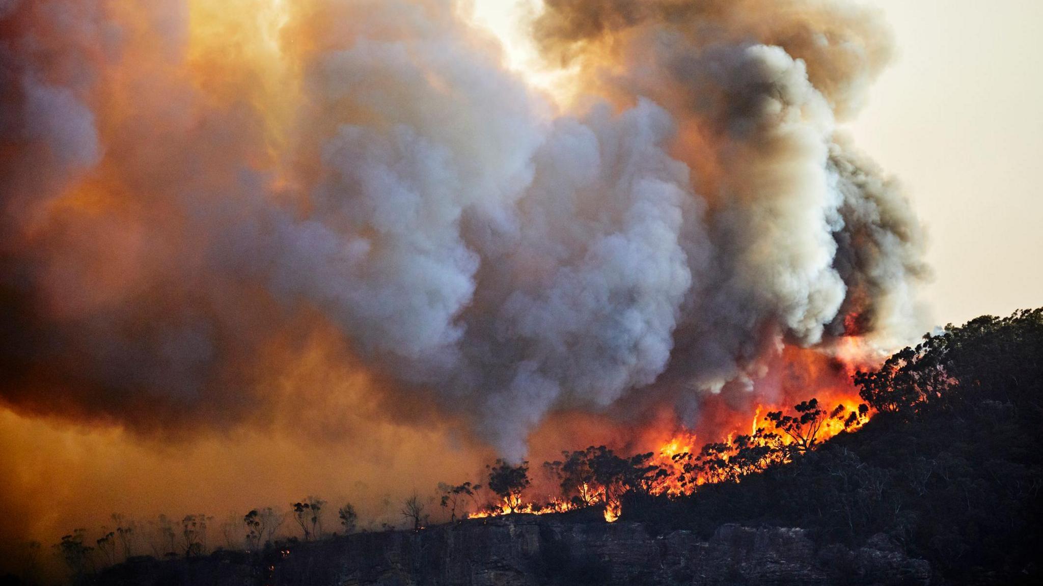 Forest fire, bushfire with flames and sun illuminated smoke clouds at dusk on mountain ridge, Blue Mountains, Australia