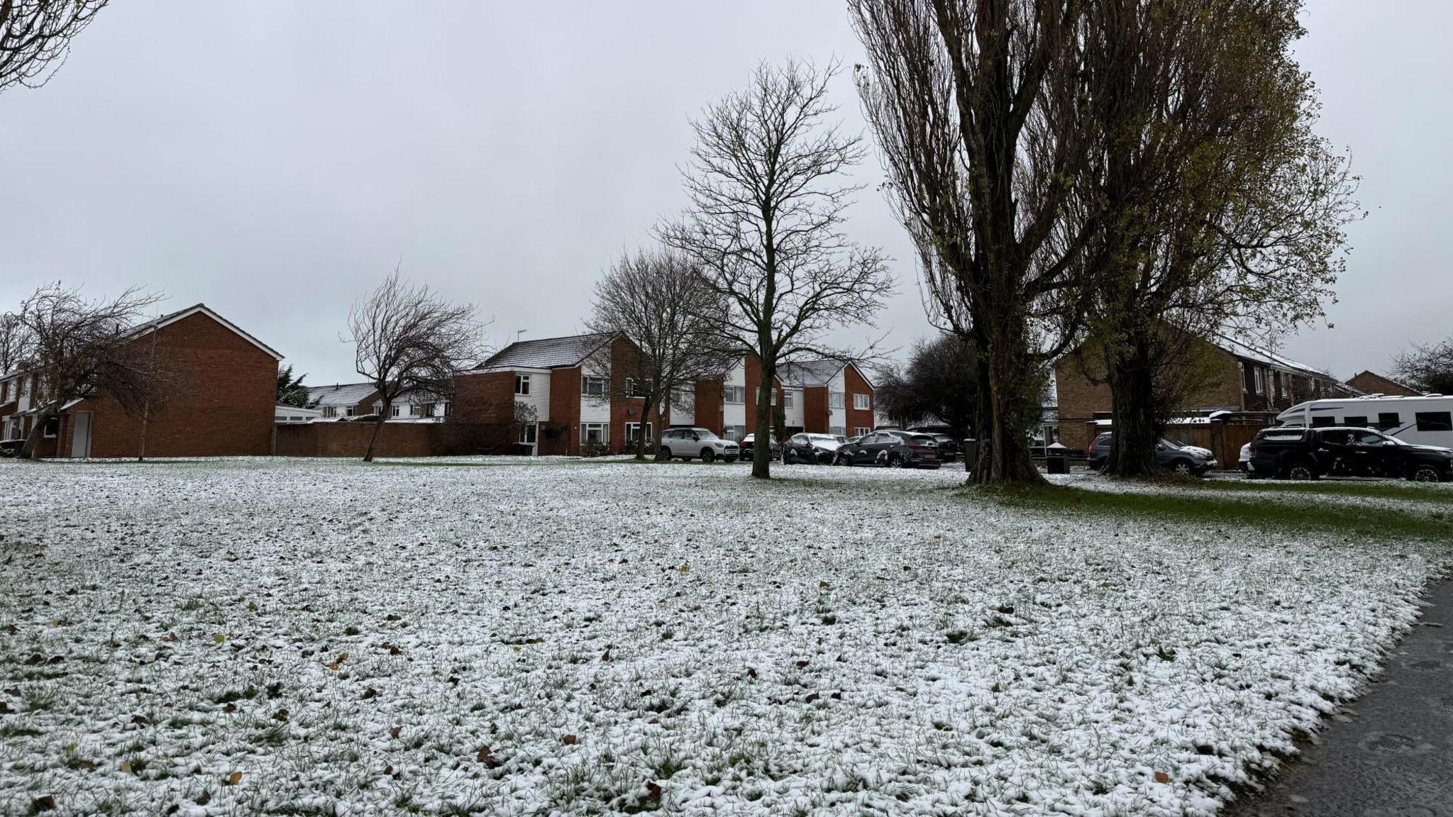 Large area of lawn covered with melting snow. Houses are in the background and trees line the edge of the lawn area. 