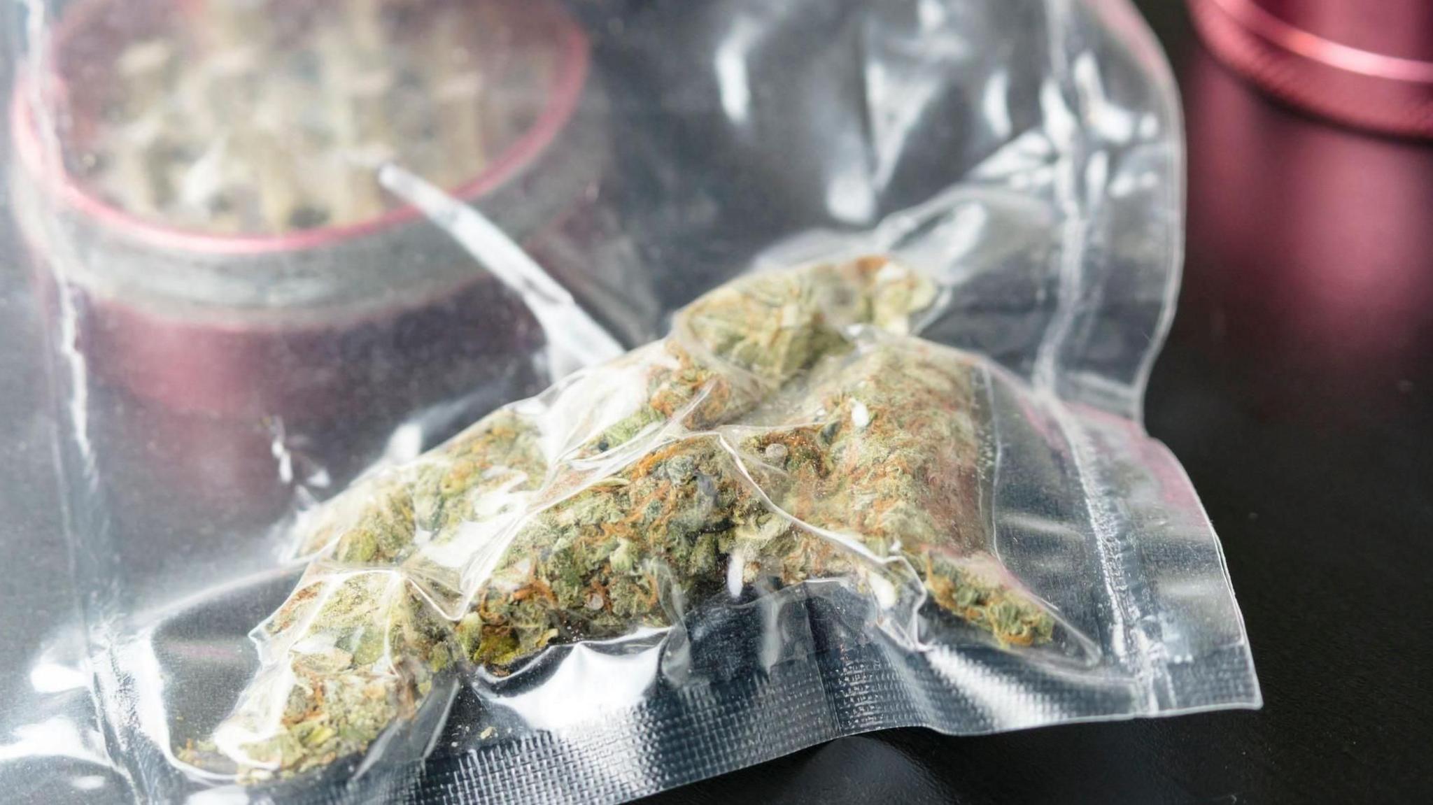 Close up of medical marijuana buds in vacuum seal bags and grinder. Cannabis is a concept of herbal or alternative medicine.