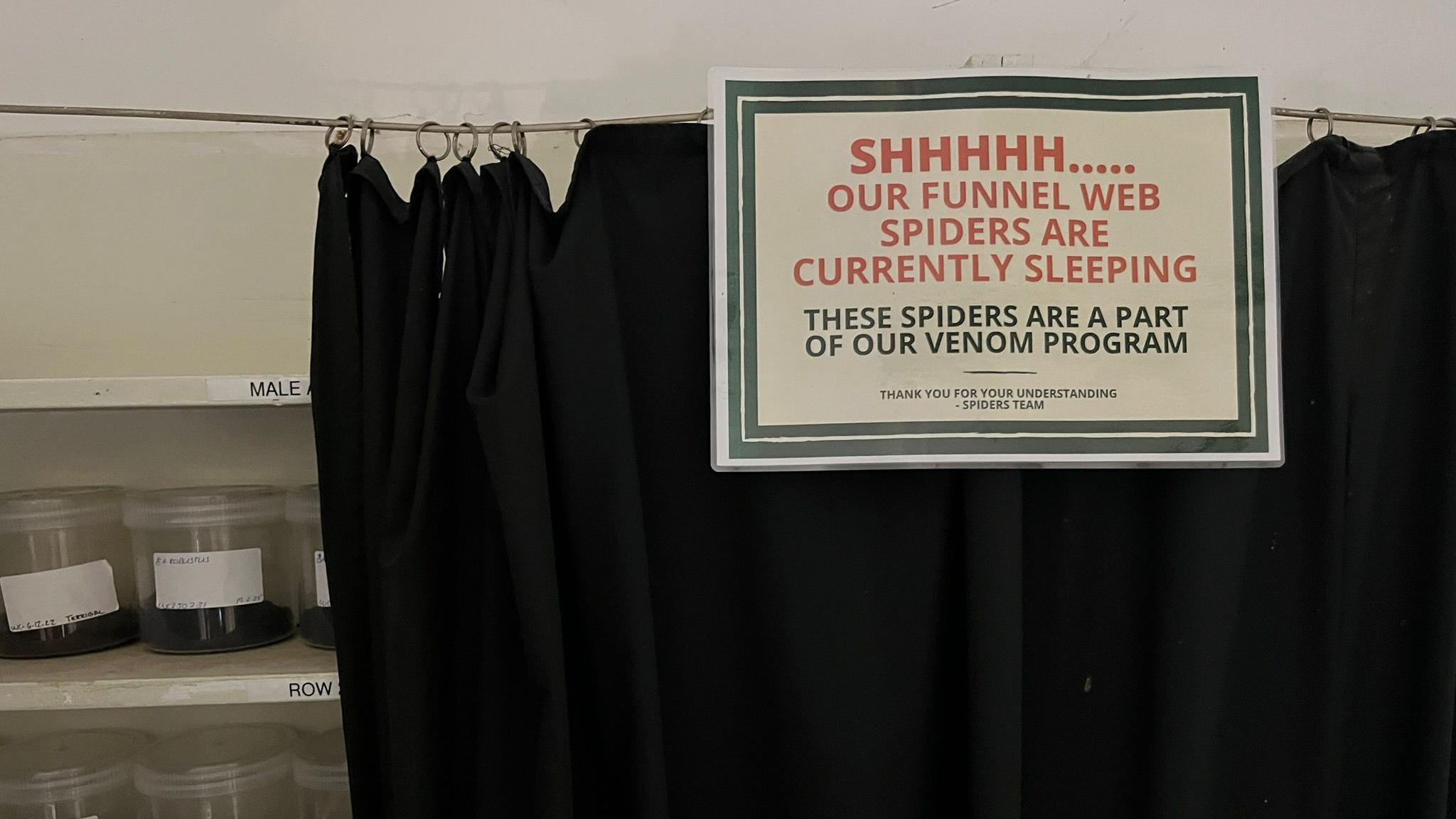 A black curtain pulled across shelves with a partial view of plastic containers on the left. A sign says "Shhhhhh...our funnel web spiders are currently sleeping. These spiders are part of our venom programme"