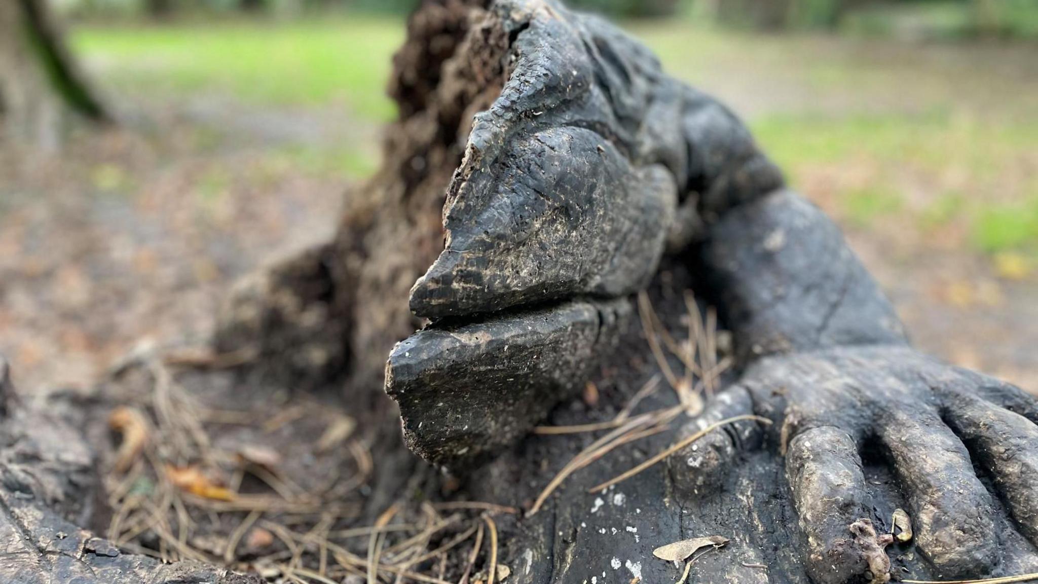 A wooden toad sculpture in a grassy park. Half intact and half ravished and shredded.