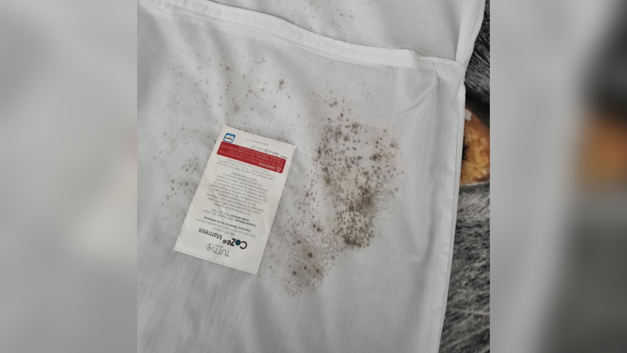 Black mould grows on the lining of a baby's cot.