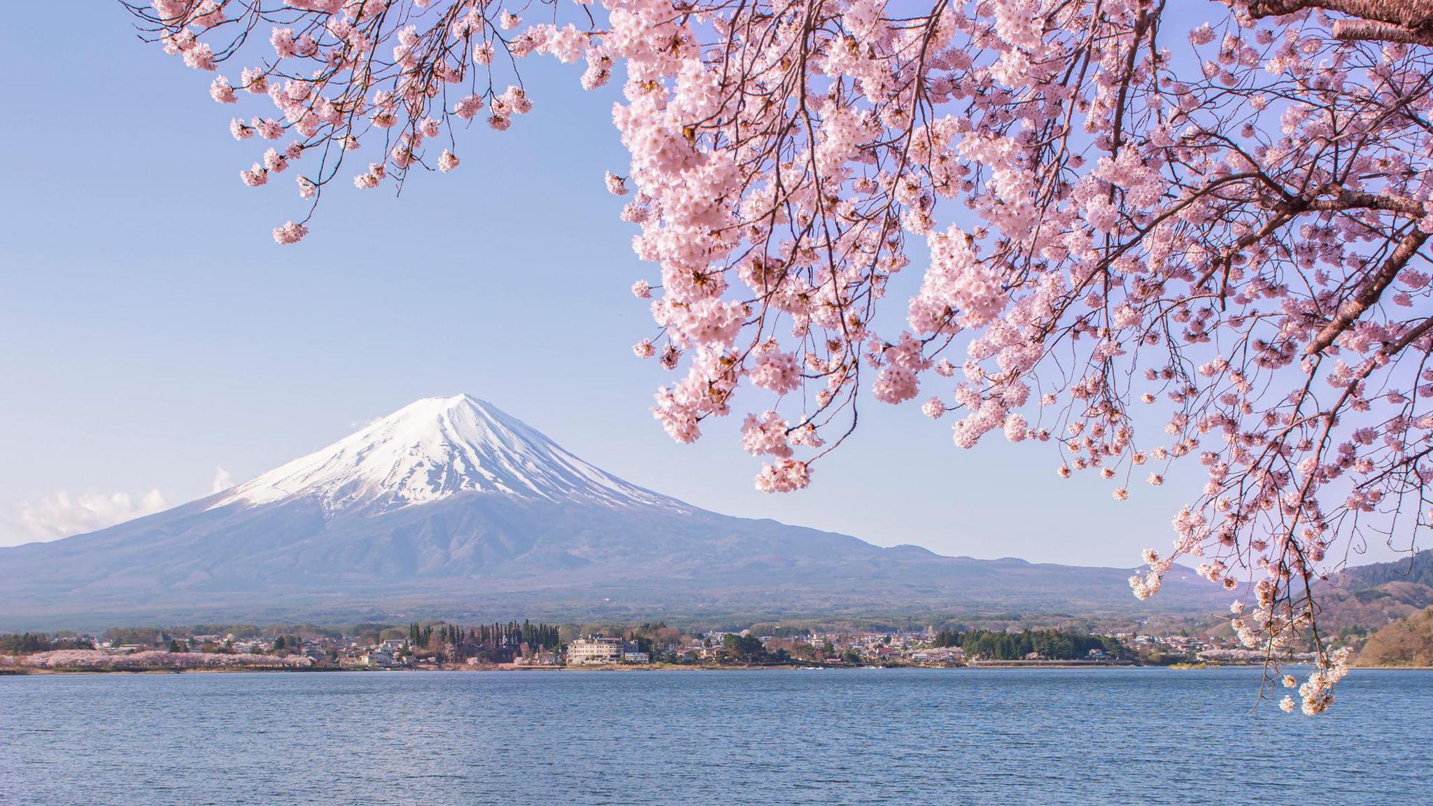 Mount Fuji