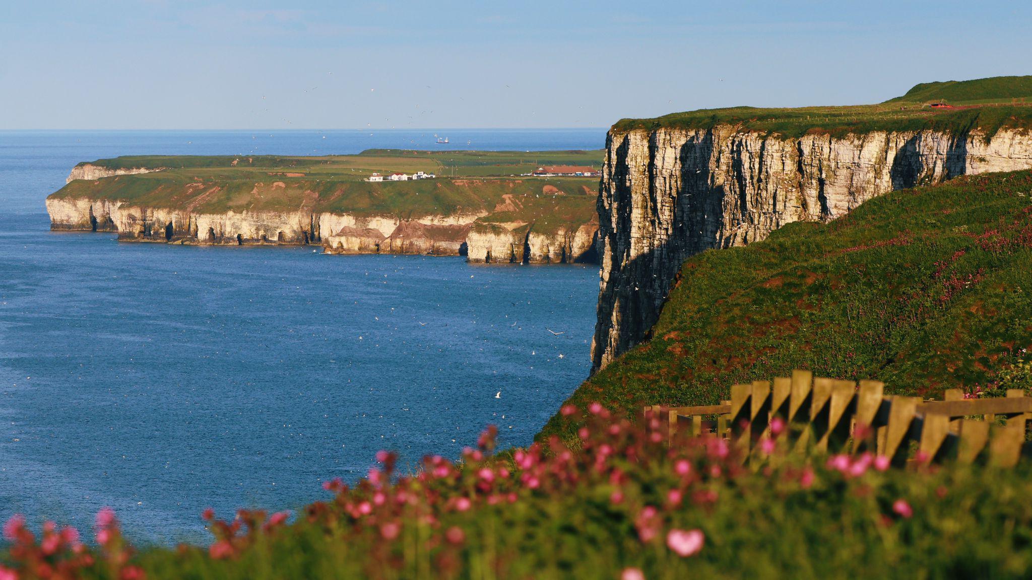 A view of cliffs and the sea with greenery and pink flowers on top