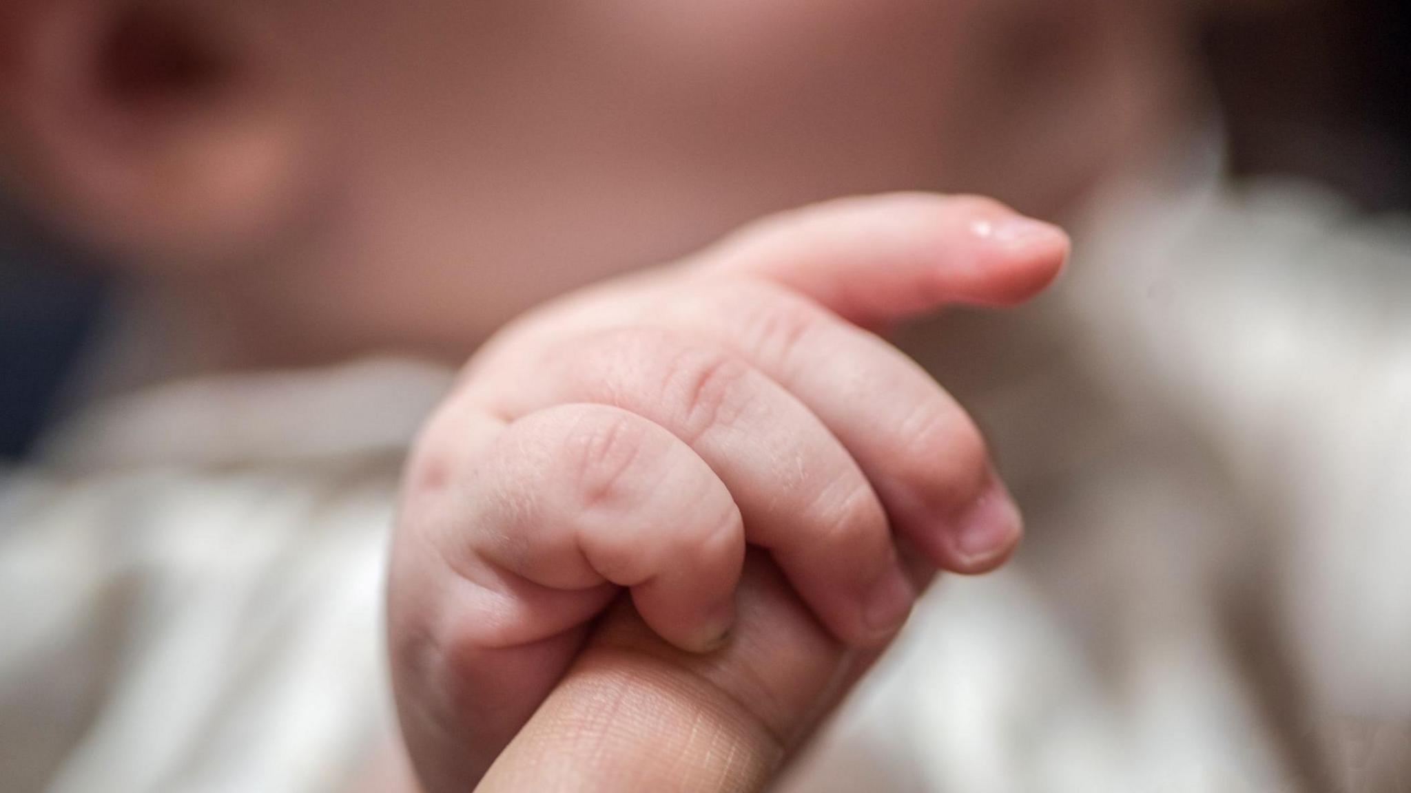 A baby holding an adult's finger